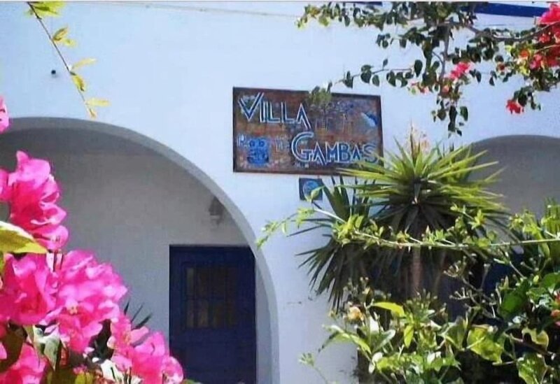 Гостиница Villa Gambas
