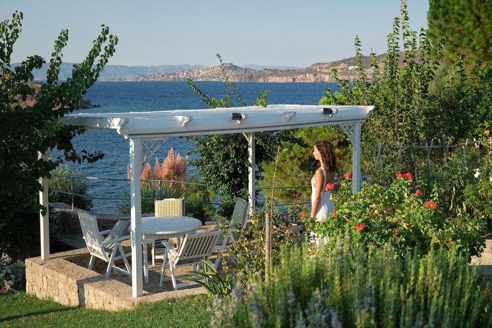 Фото Little Bird