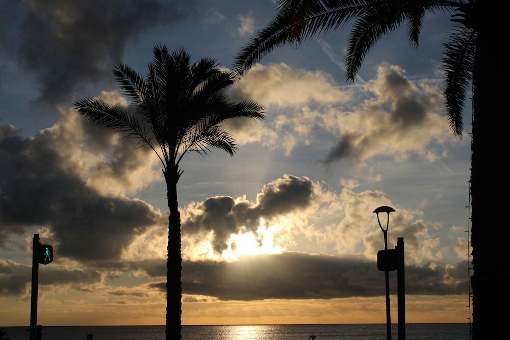 Фото La Villa des Oliviers