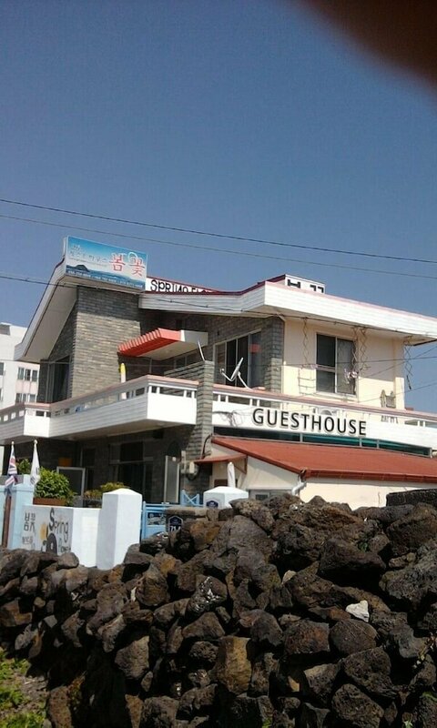 Гостиница Springflower Guesthouse - Hostel