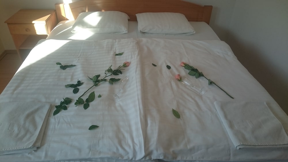 Фото Hotel Benda