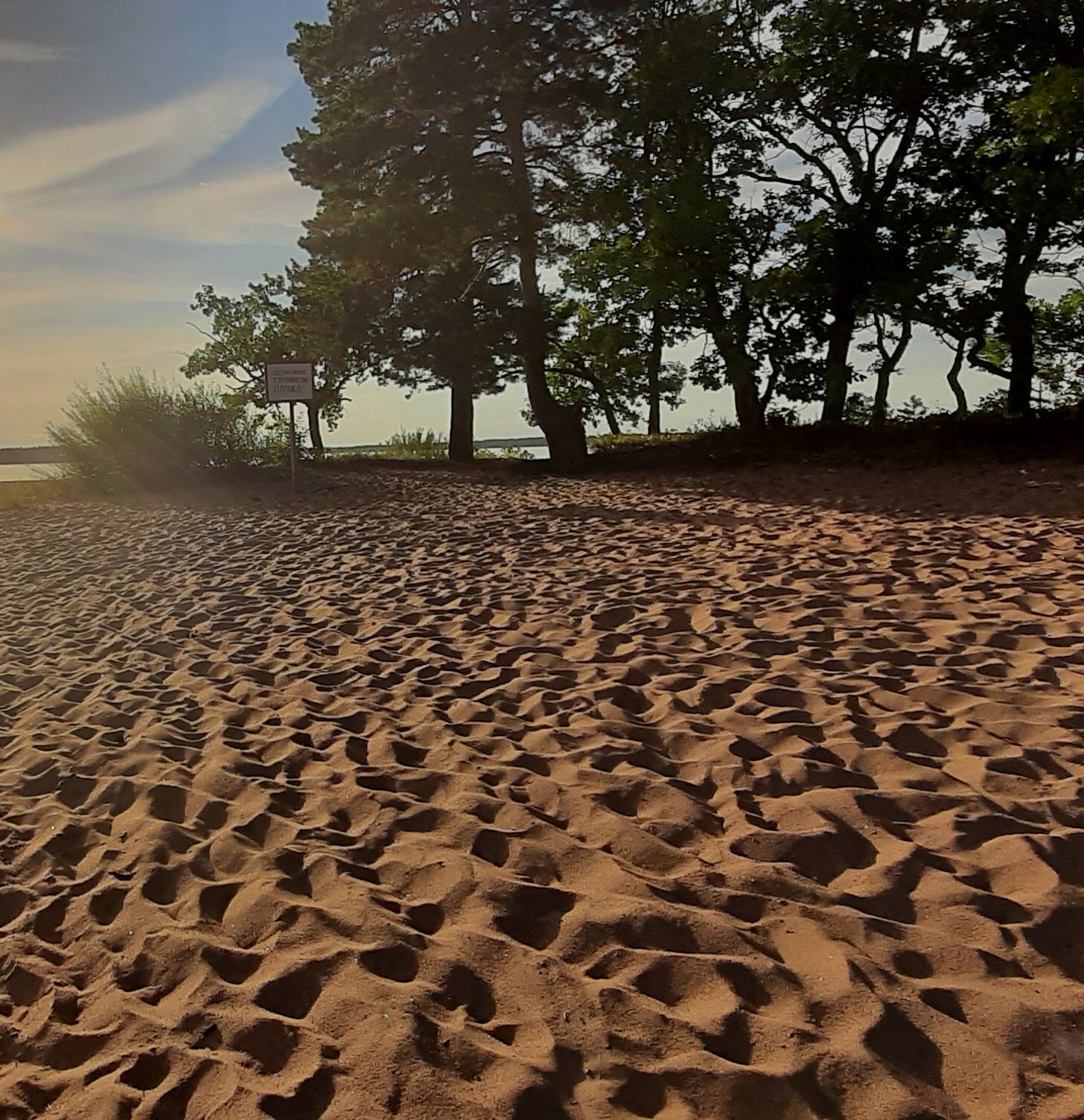 Фото Орлинка