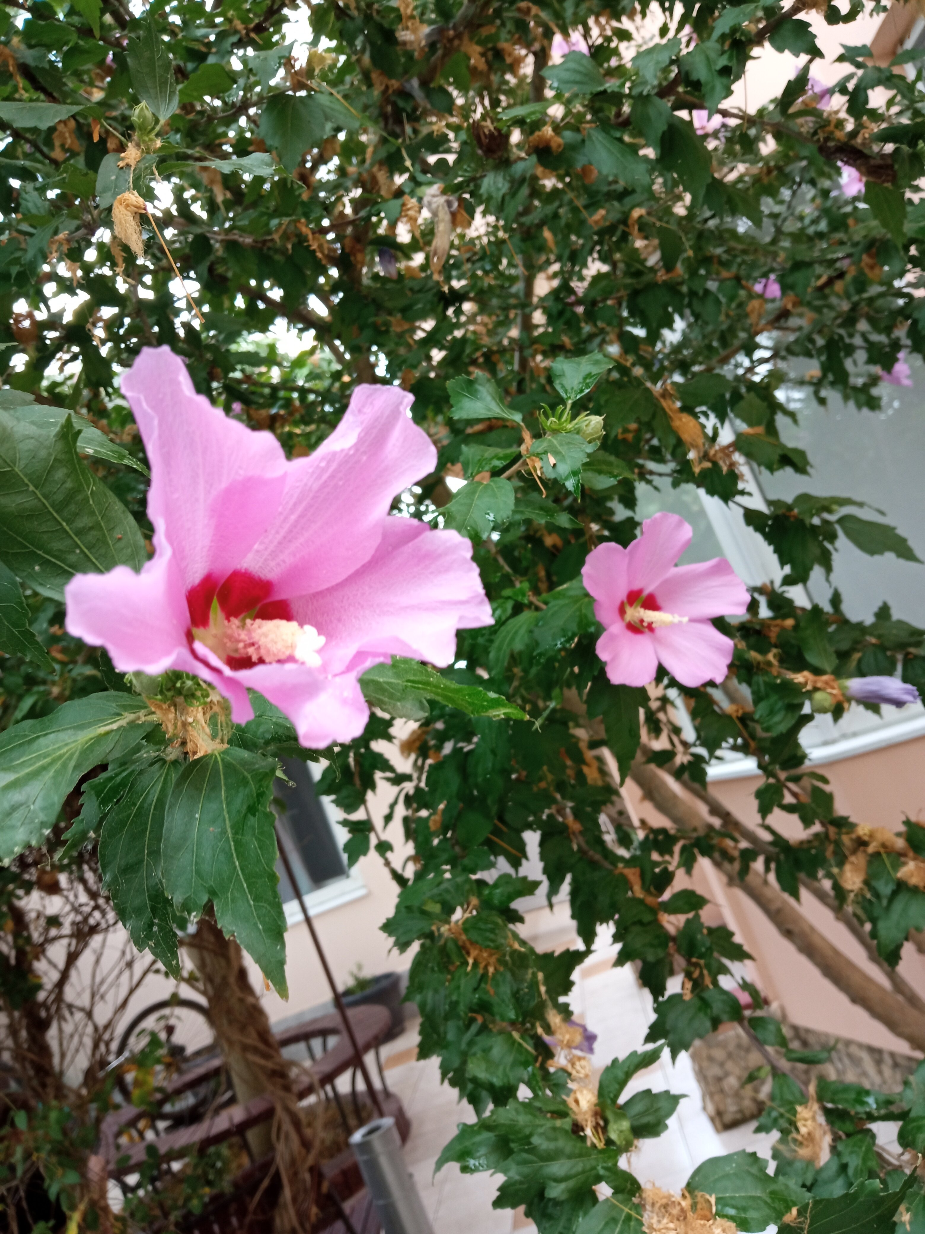 Фото Берег Крыма