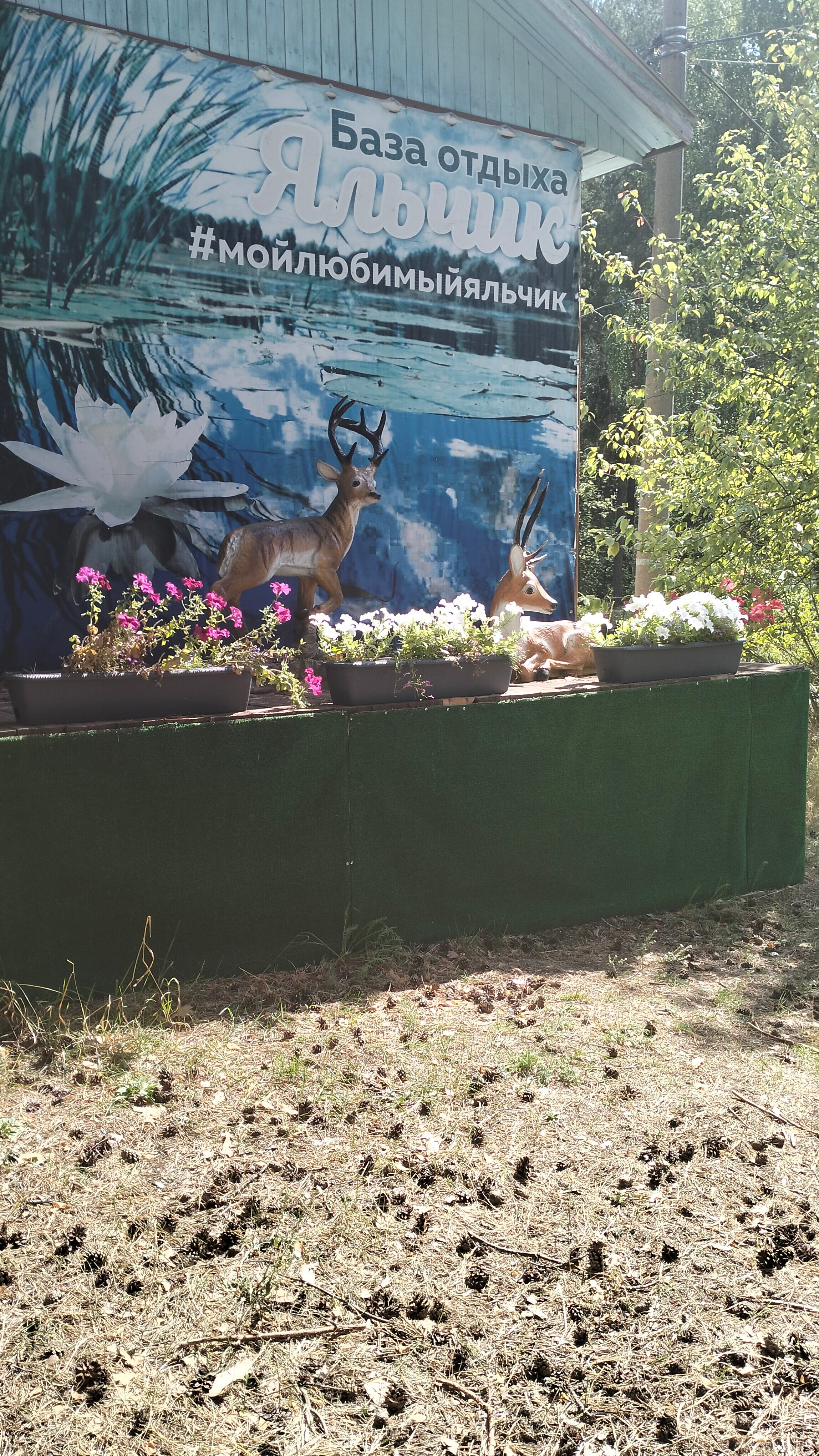 Фото База отдыха Яльчик