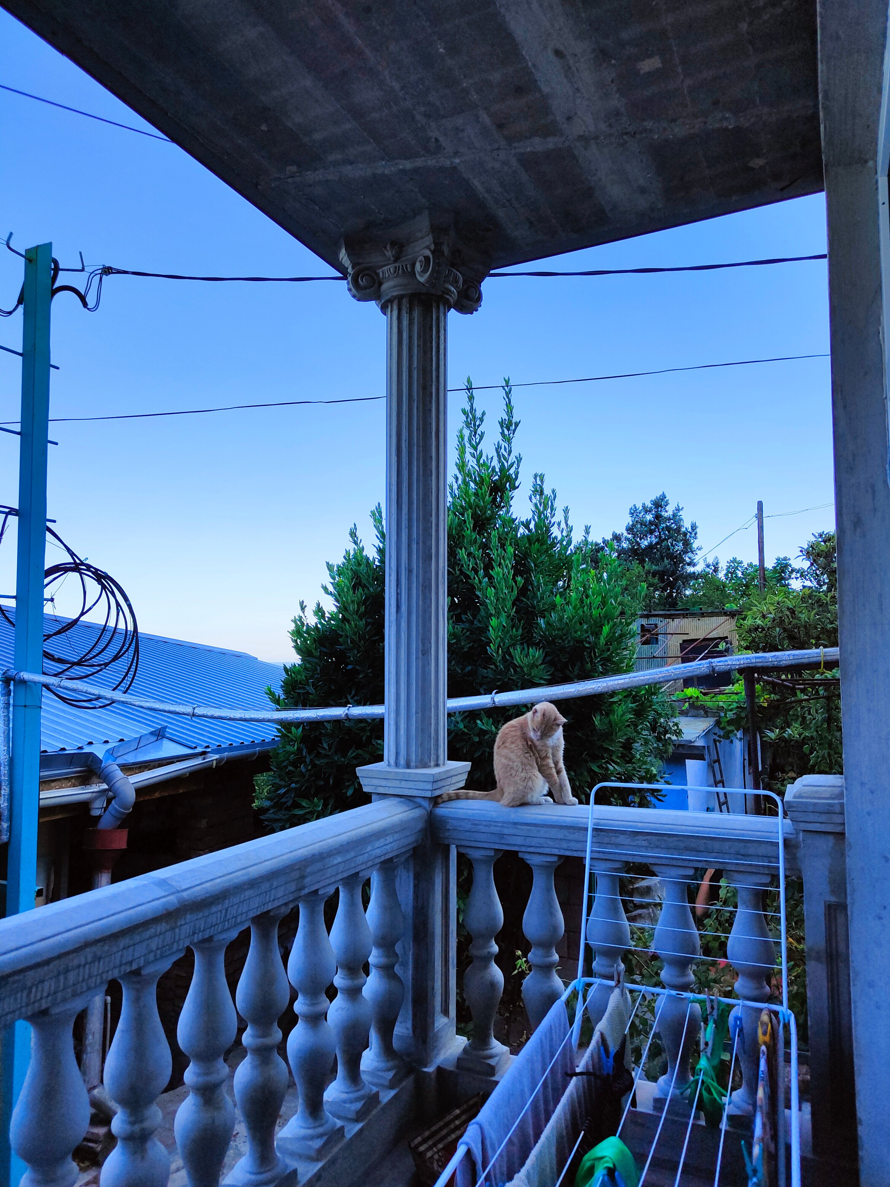 Фото У горы Кошка