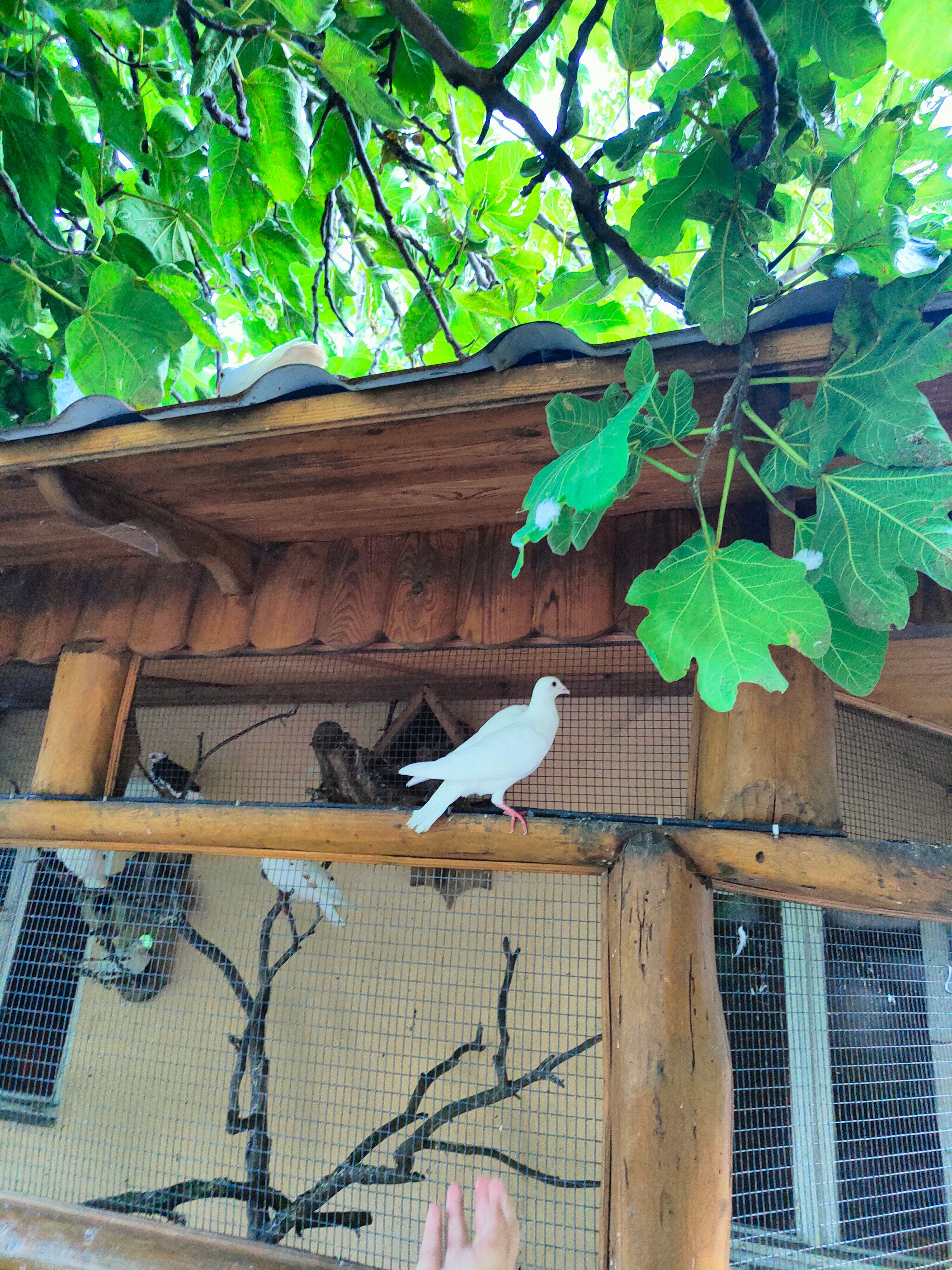 Фото У горы Кошка