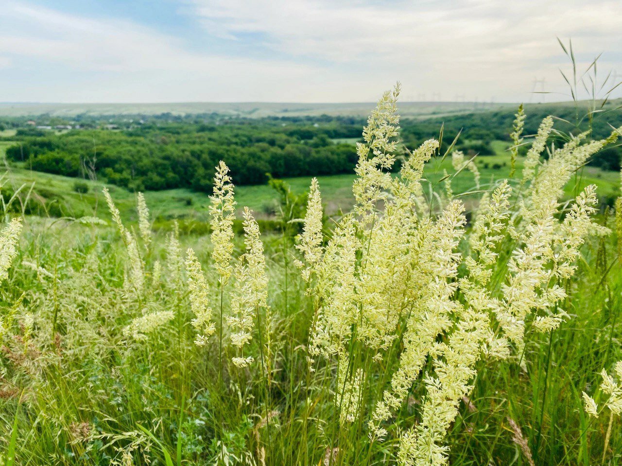 Фото СтепнаяЗдравница