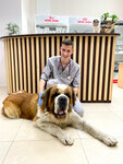 Прометей (Gogolya Street, 238), veterinary clinic