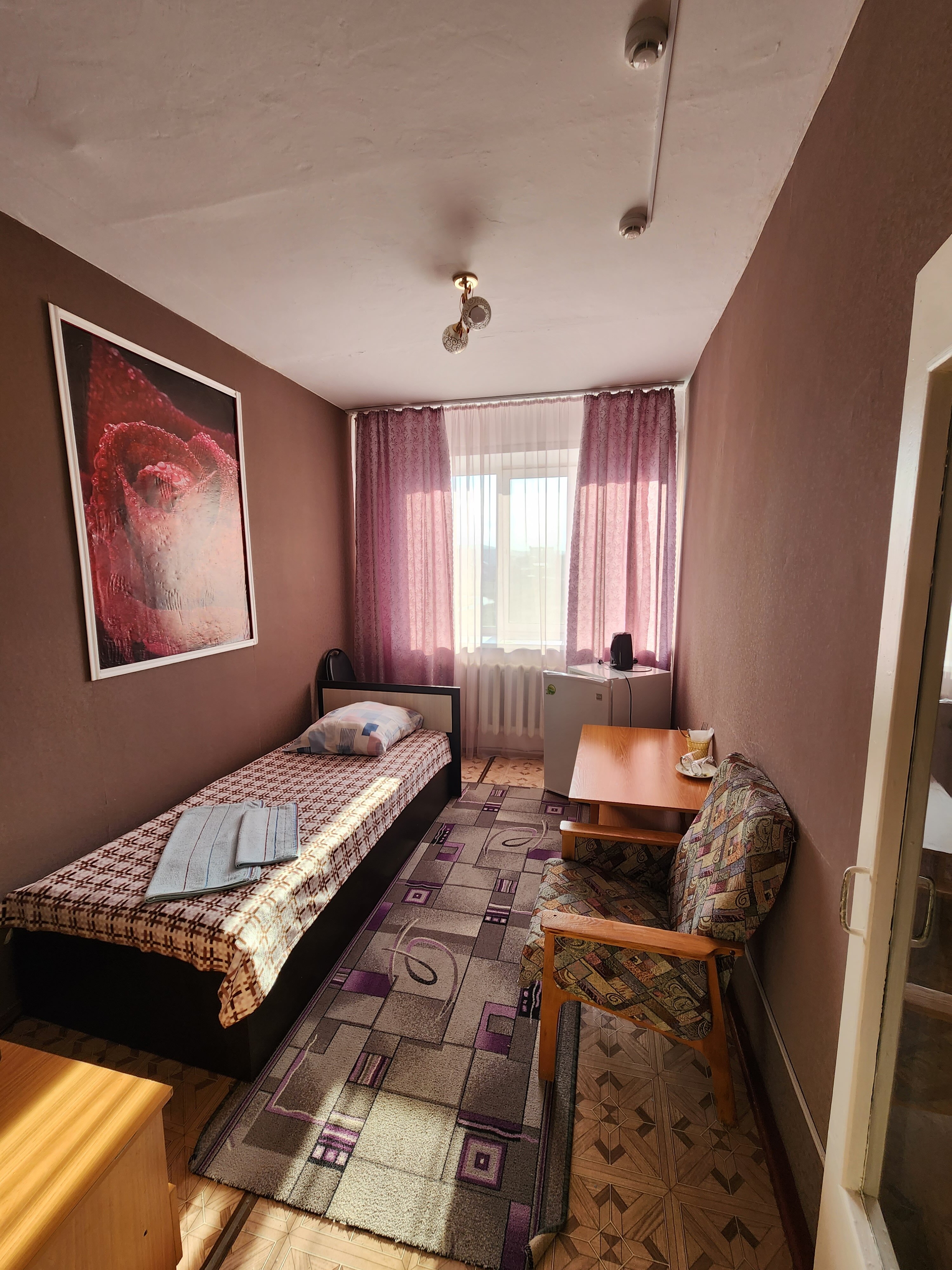 Фото Березка