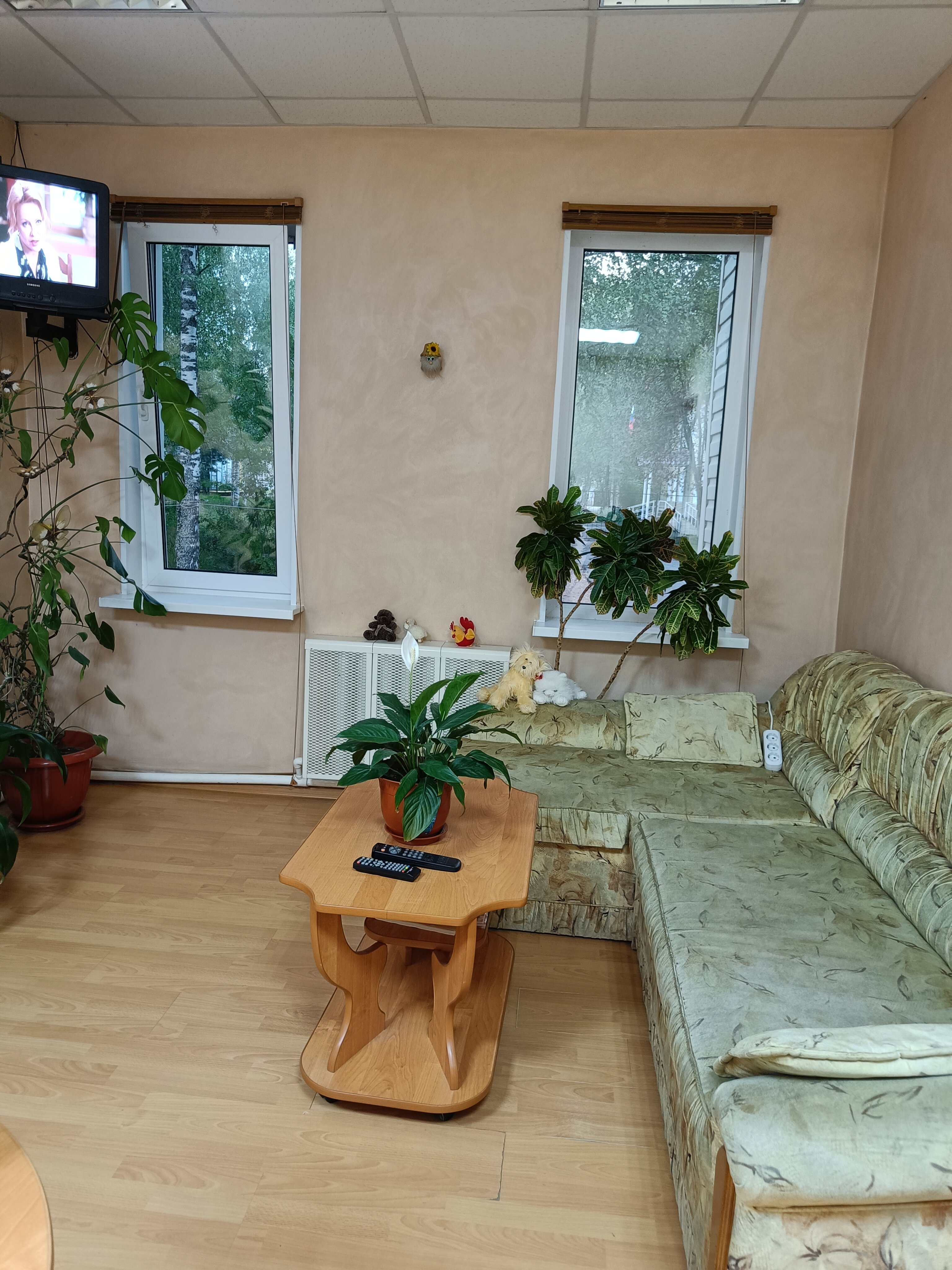 Фото Вишера