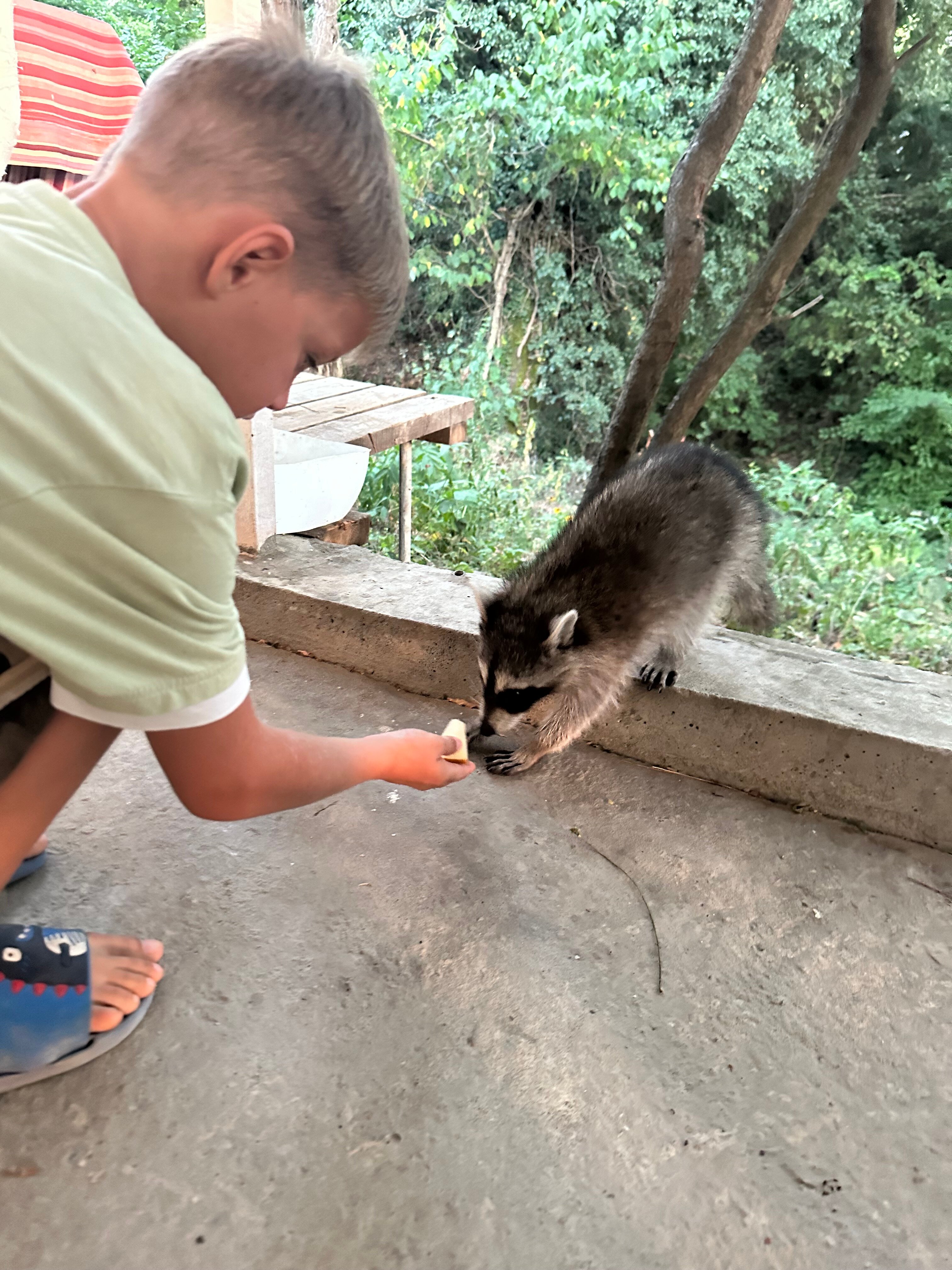 Фото Амитель