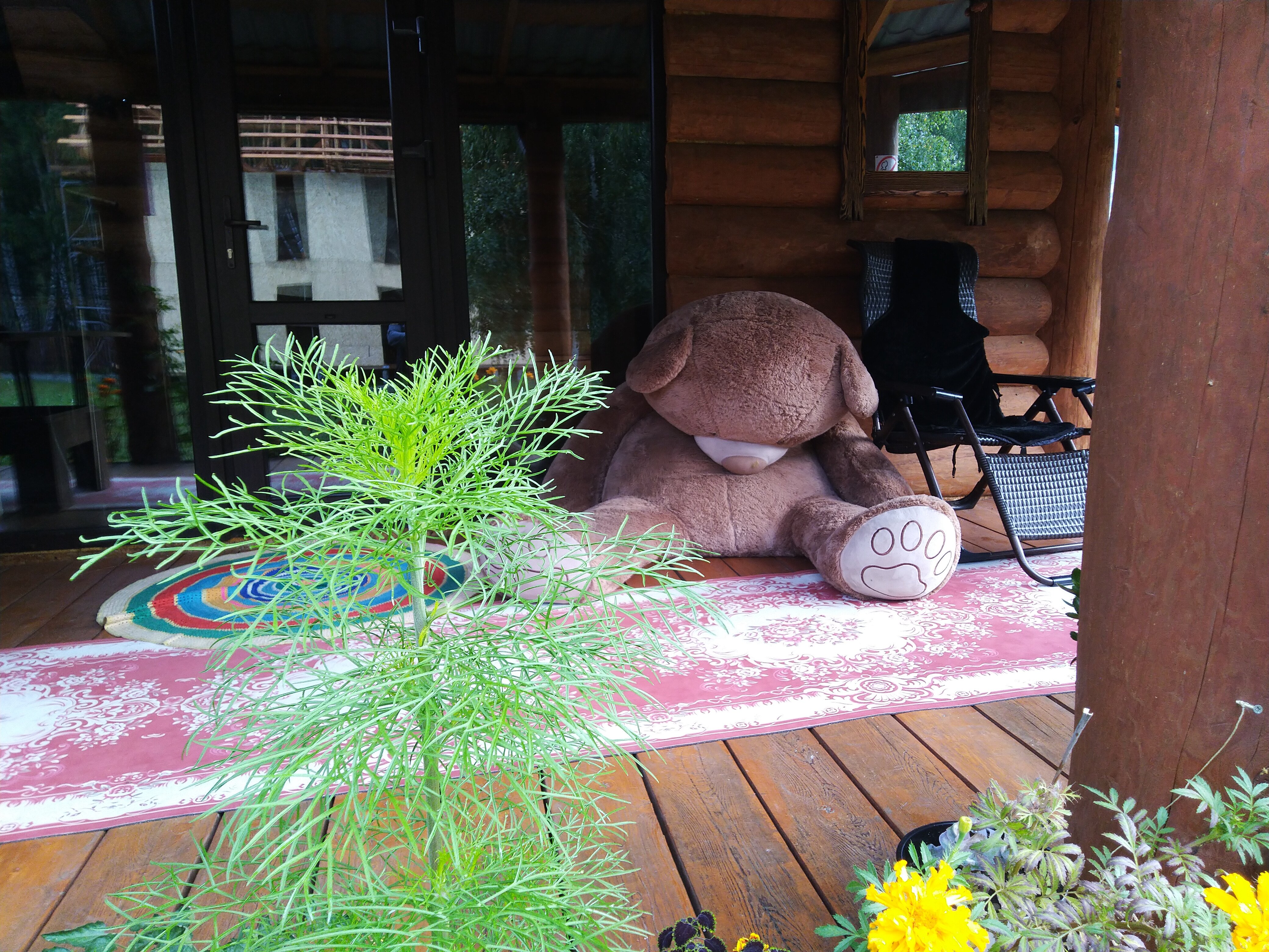 Фото Благодать