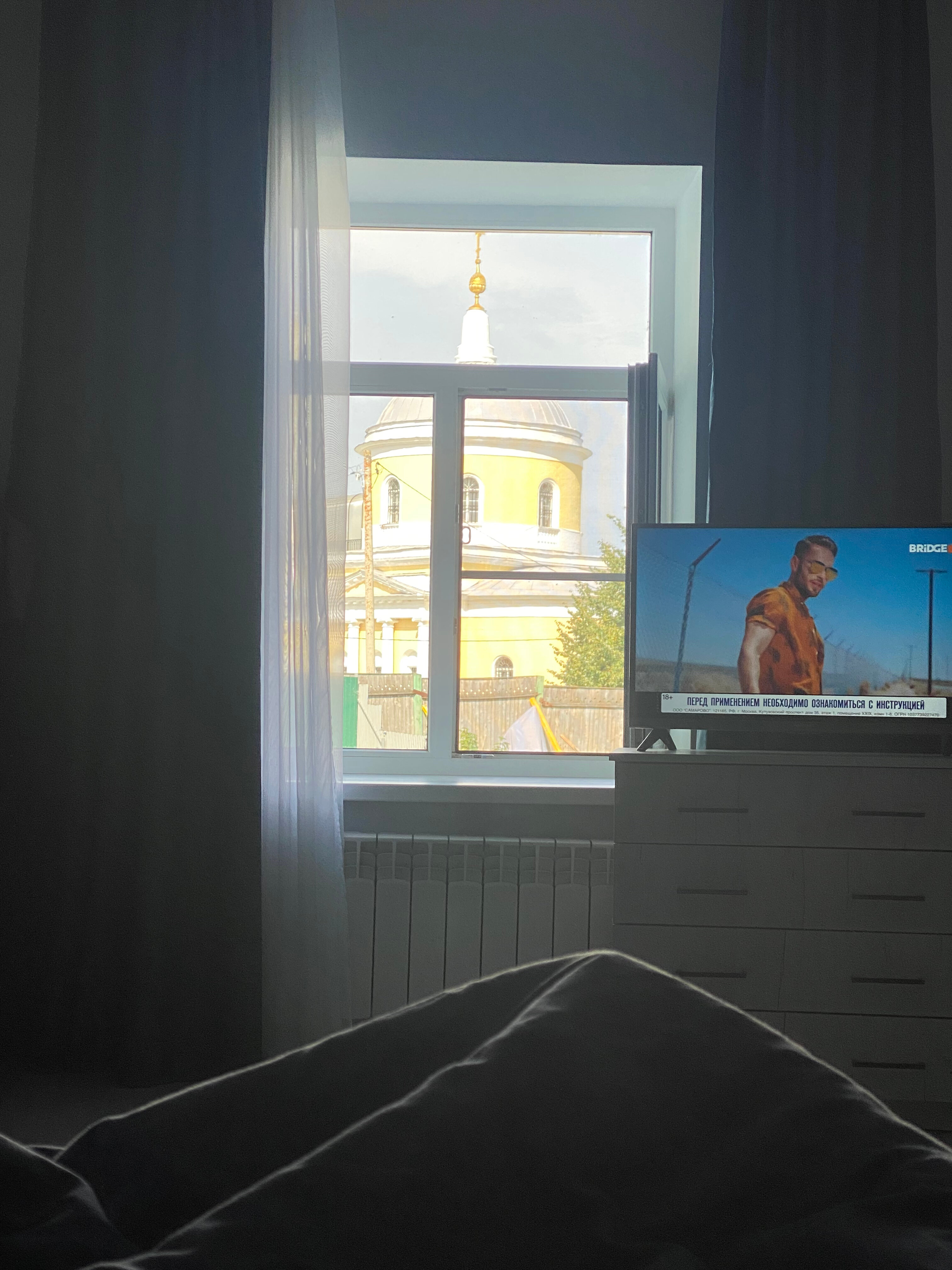 Фото  Гнездо