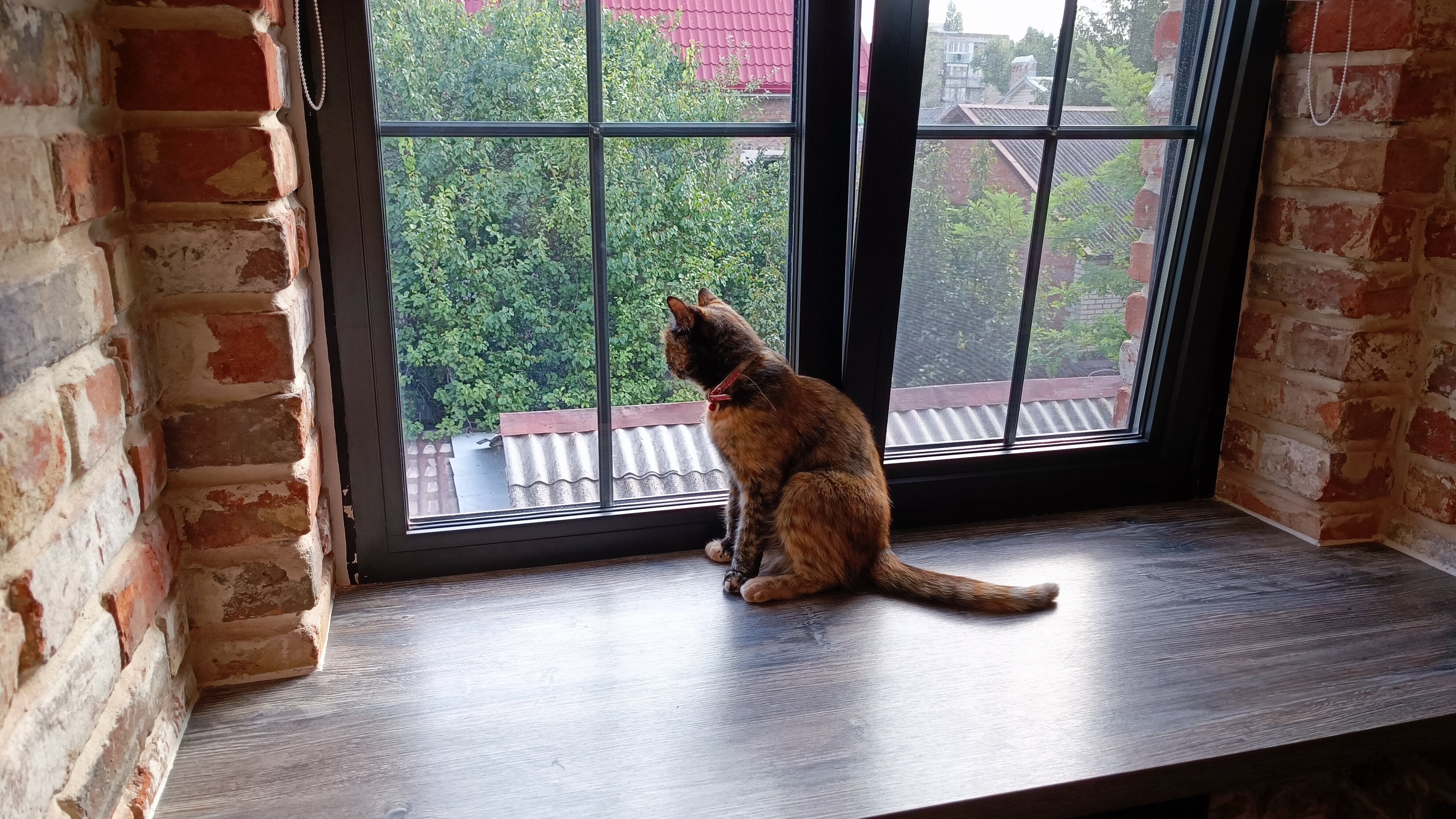 Фото Честный Чехов