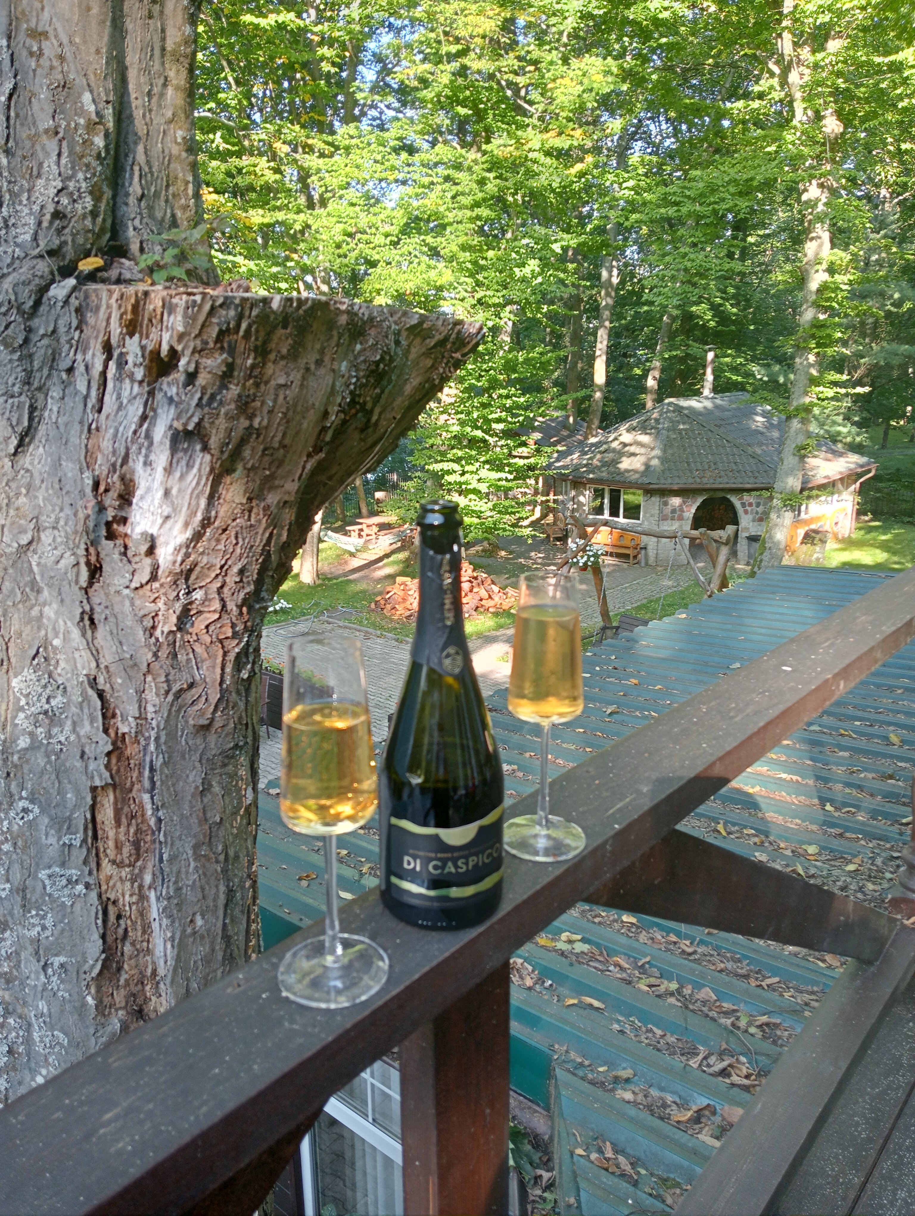 Фото Высокий берег