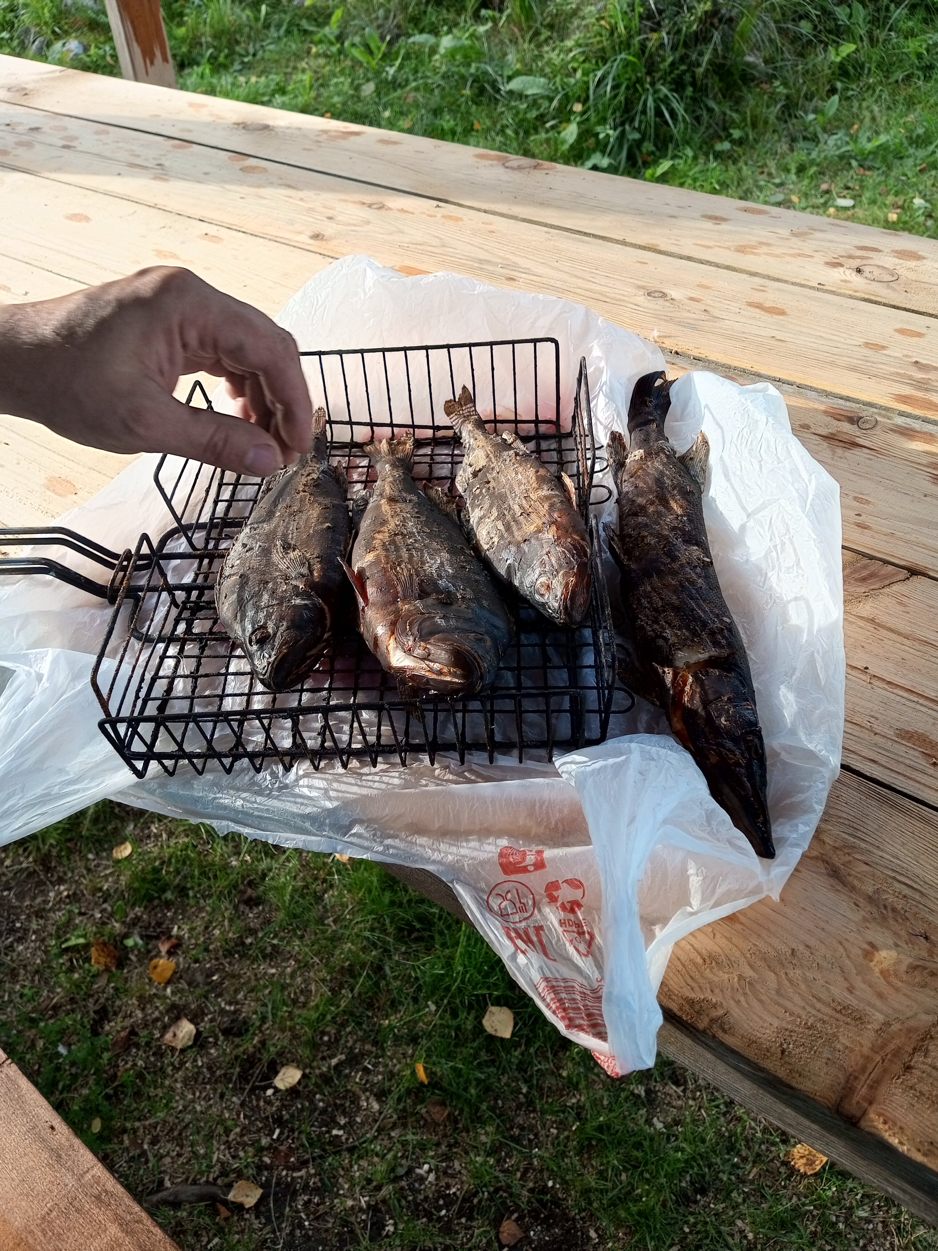 Фото Карху Сегозеро