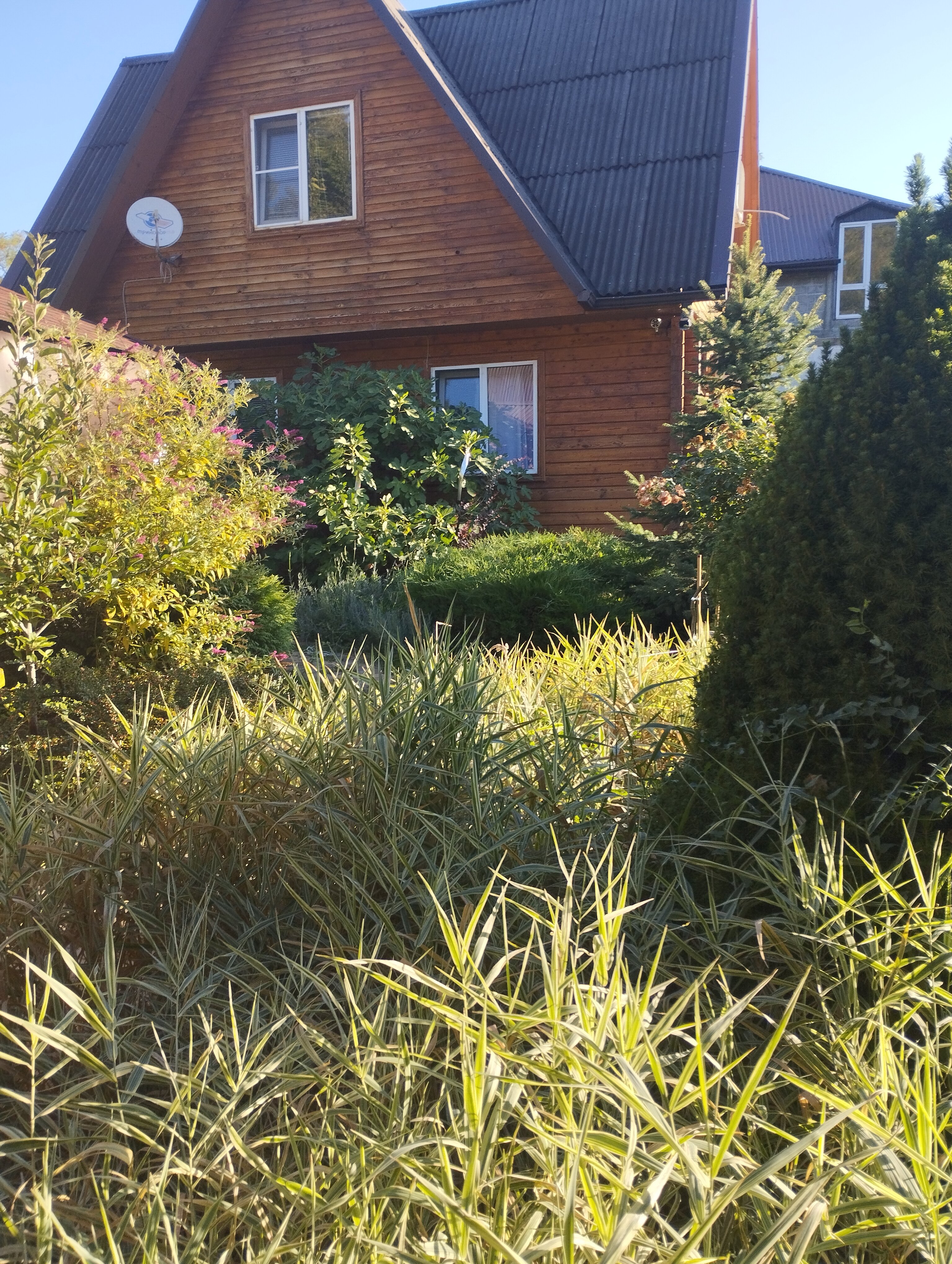 Фото Сказка