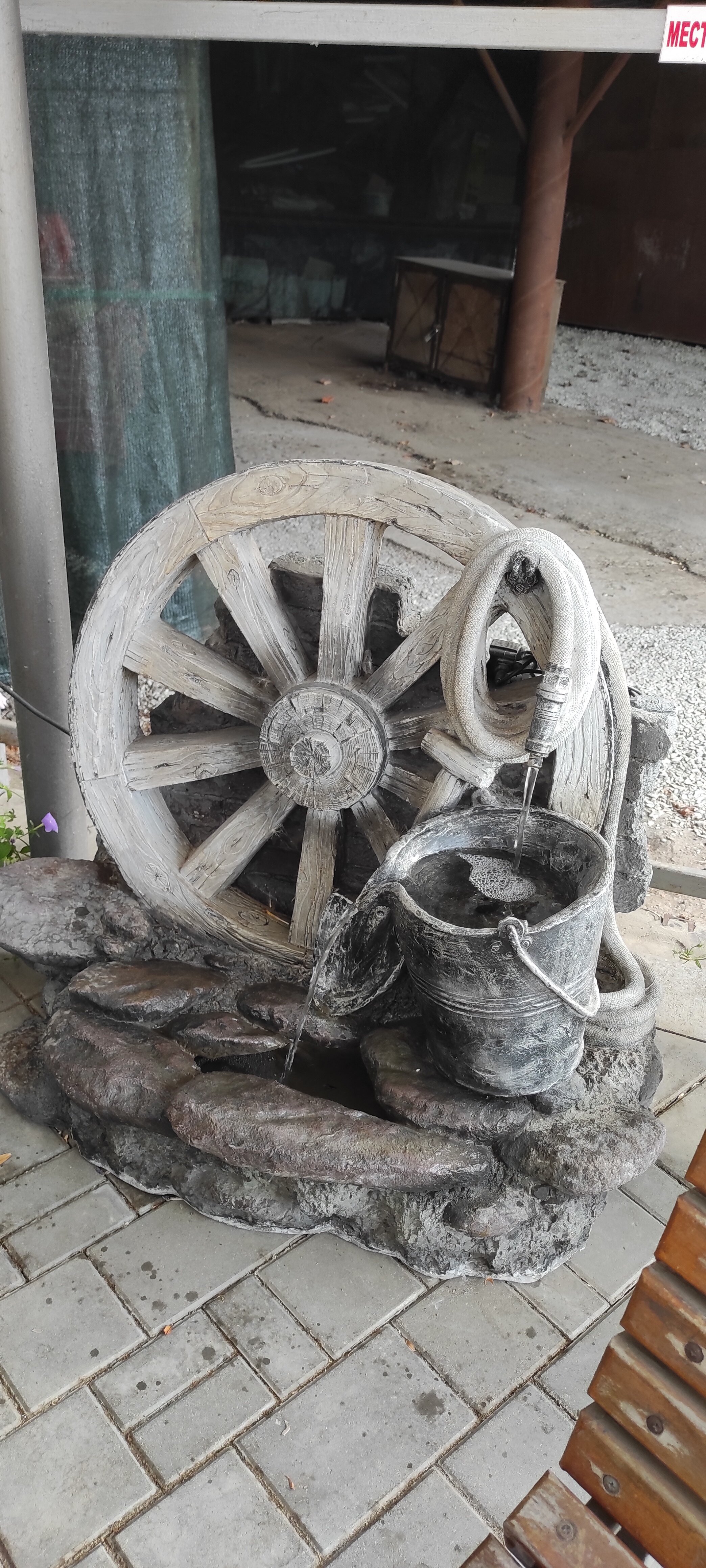 Фото Светлана