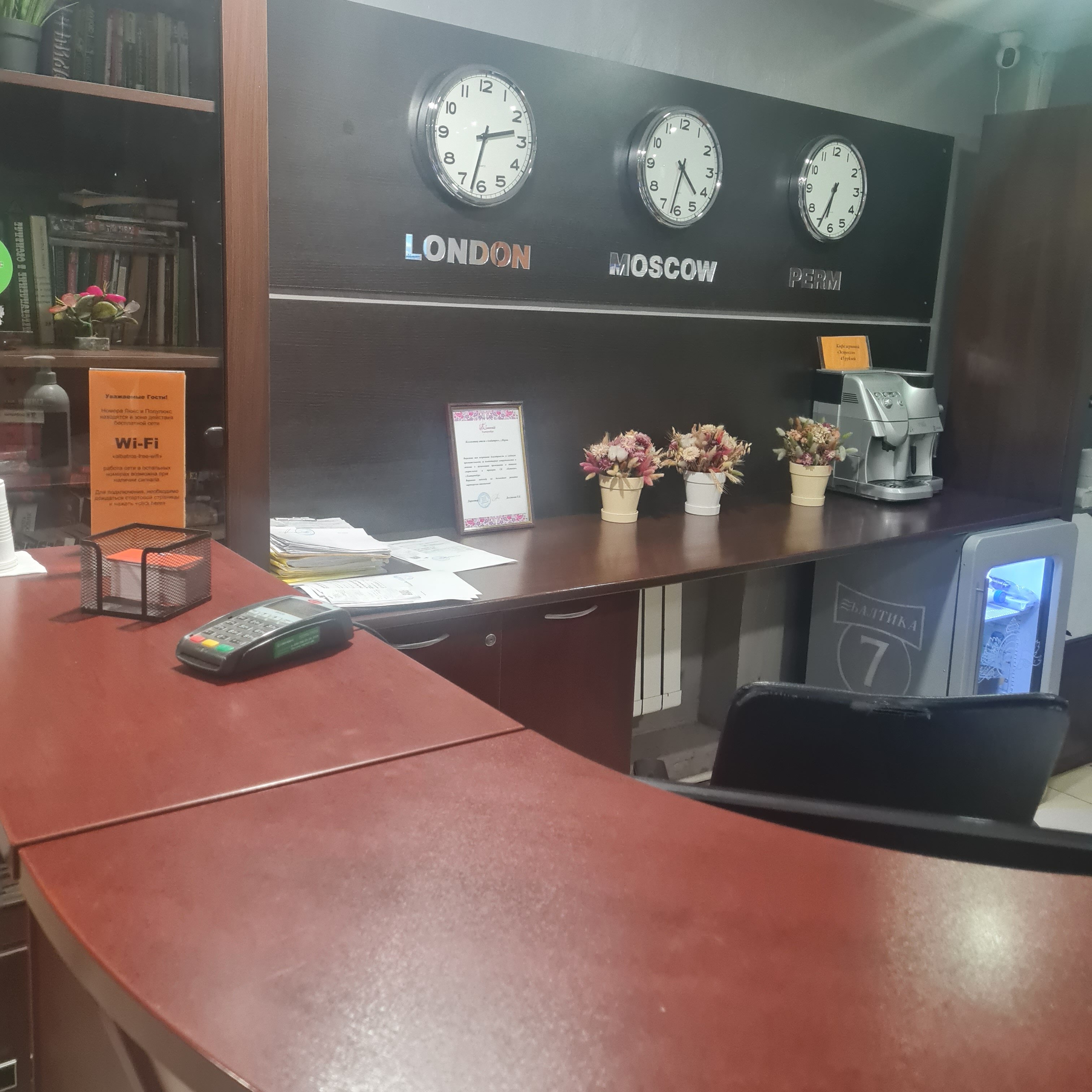 Фото Альбатрос