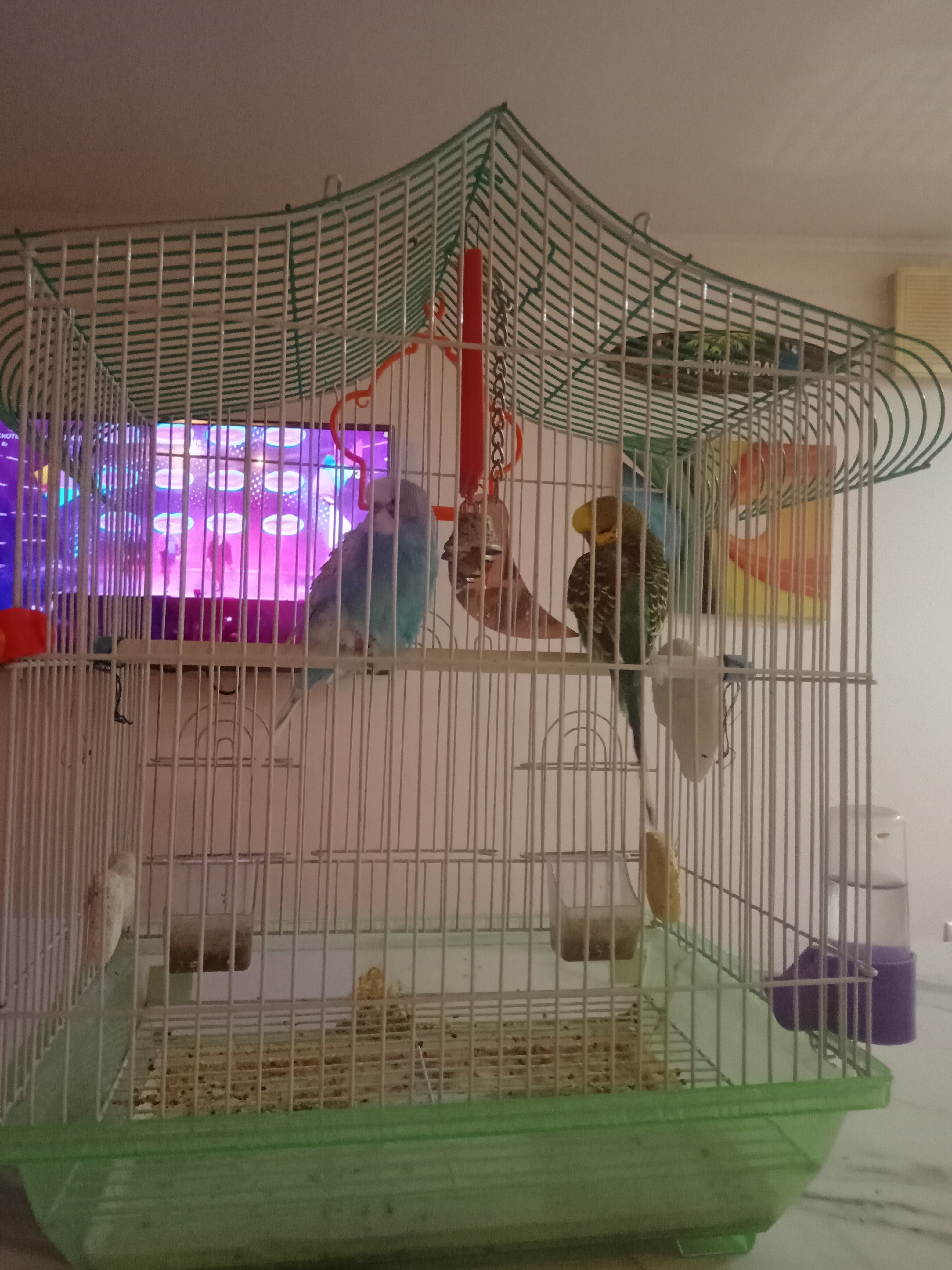 Фото Квартира 31