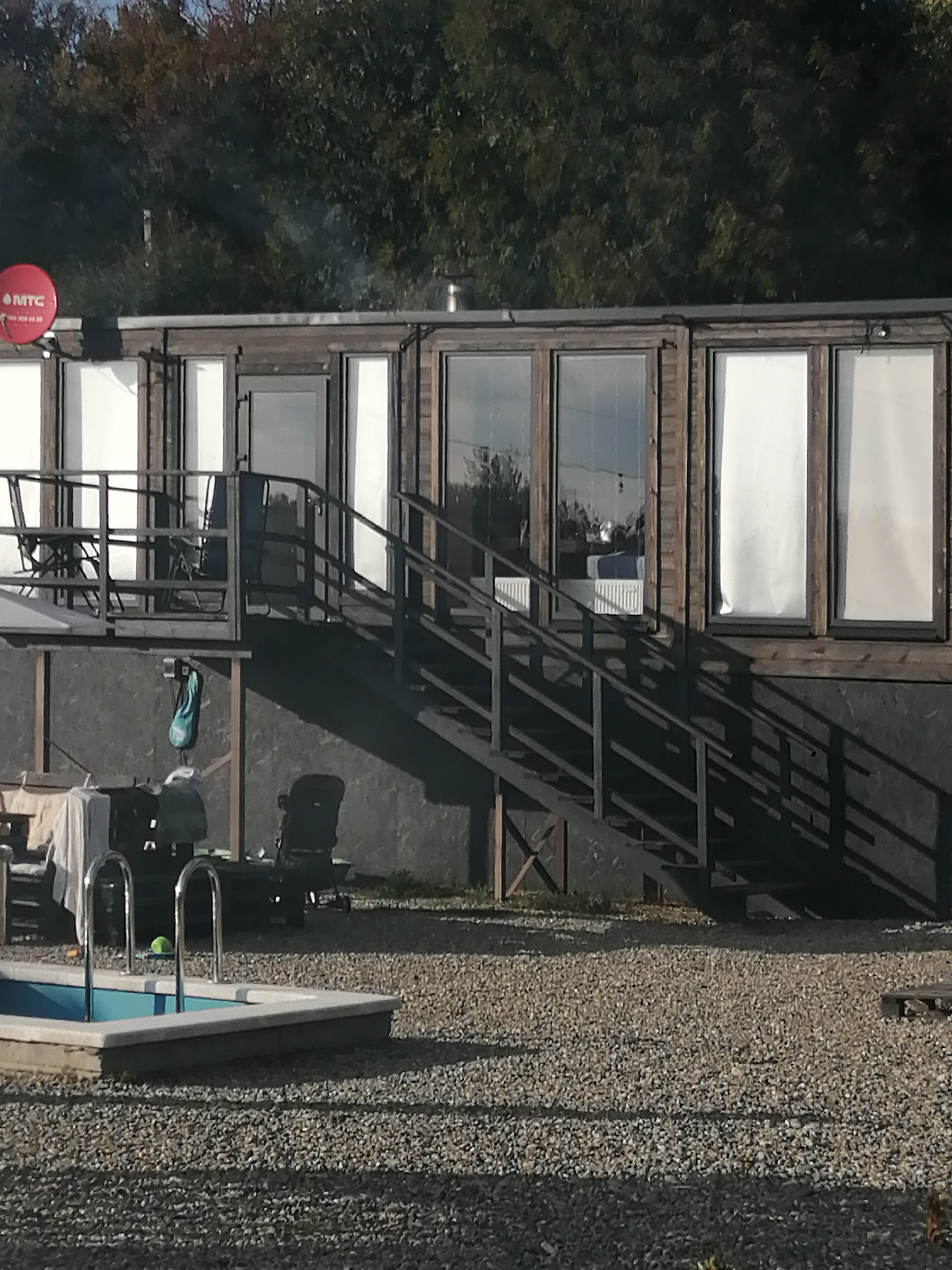 Фото Павлония