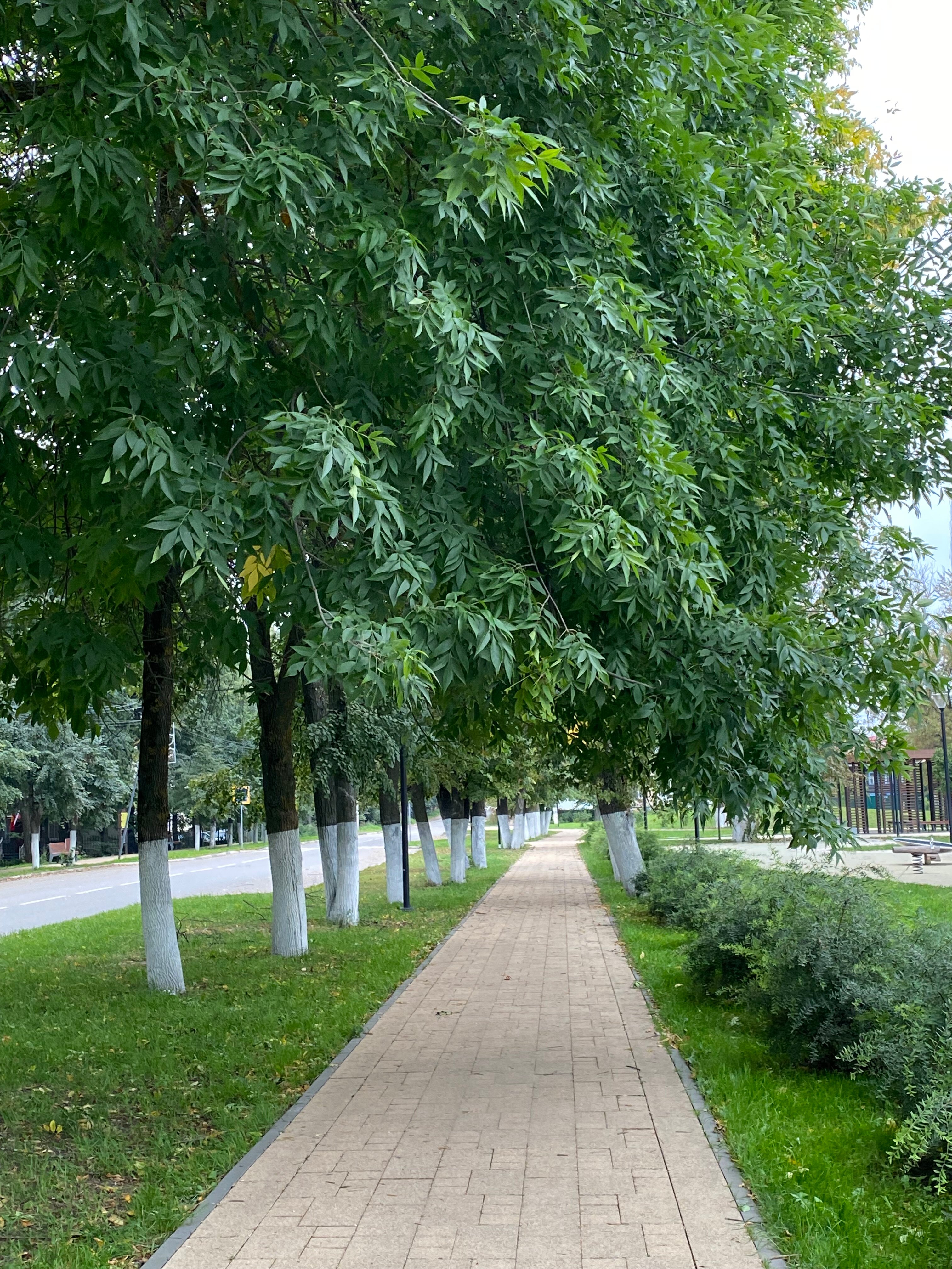 Фото Западная