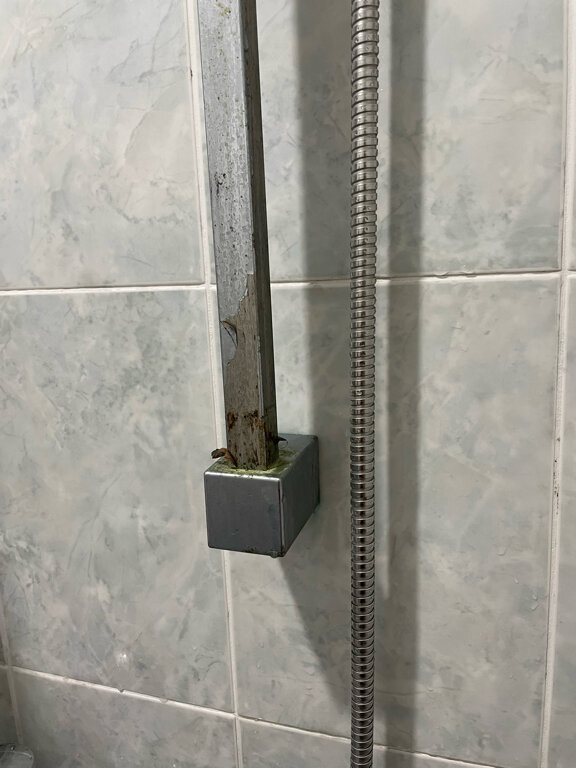 Фото Кипарис