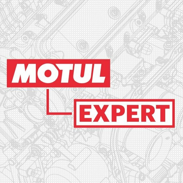 Motul Expert
