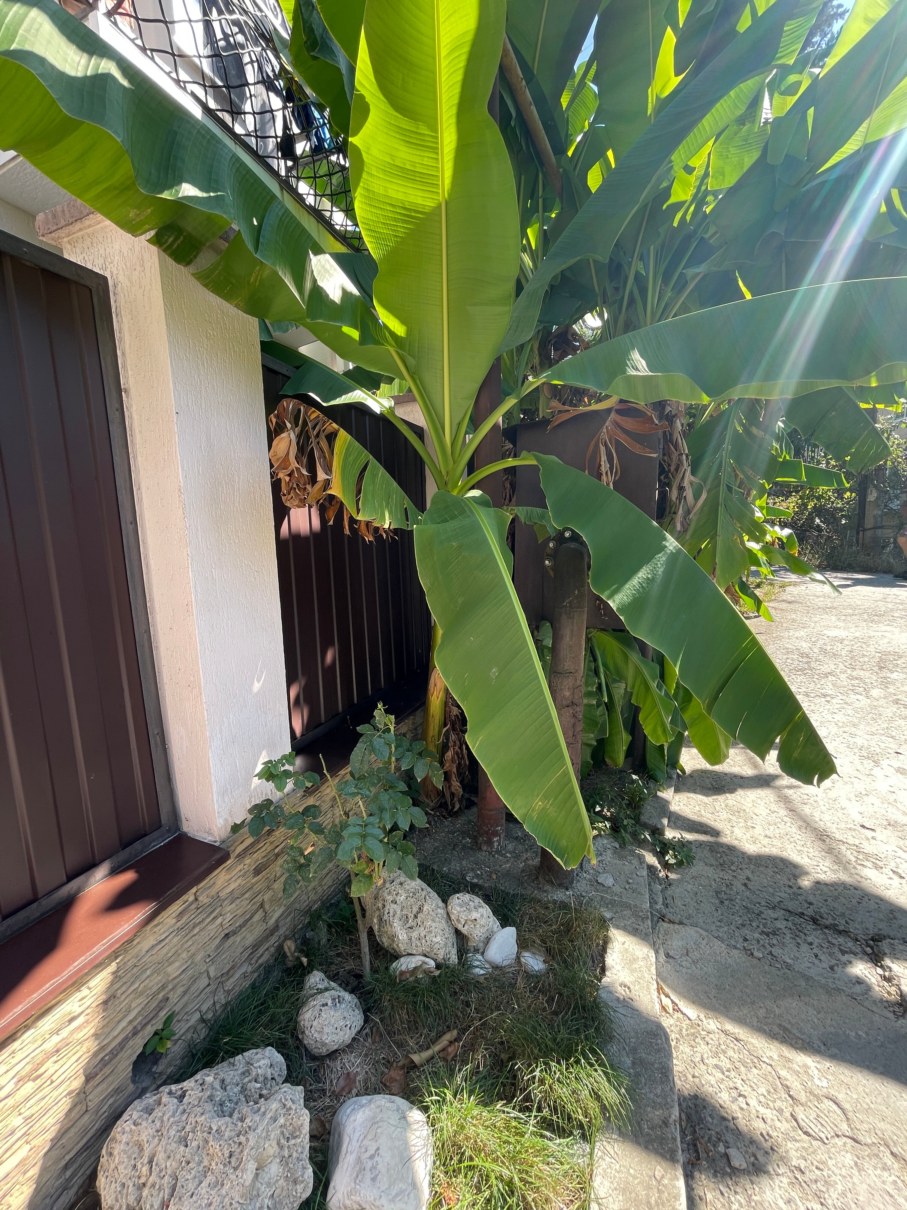 Фото Valentina Guest House