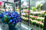 Leora (Belomorskaya Street, 9), flower shop