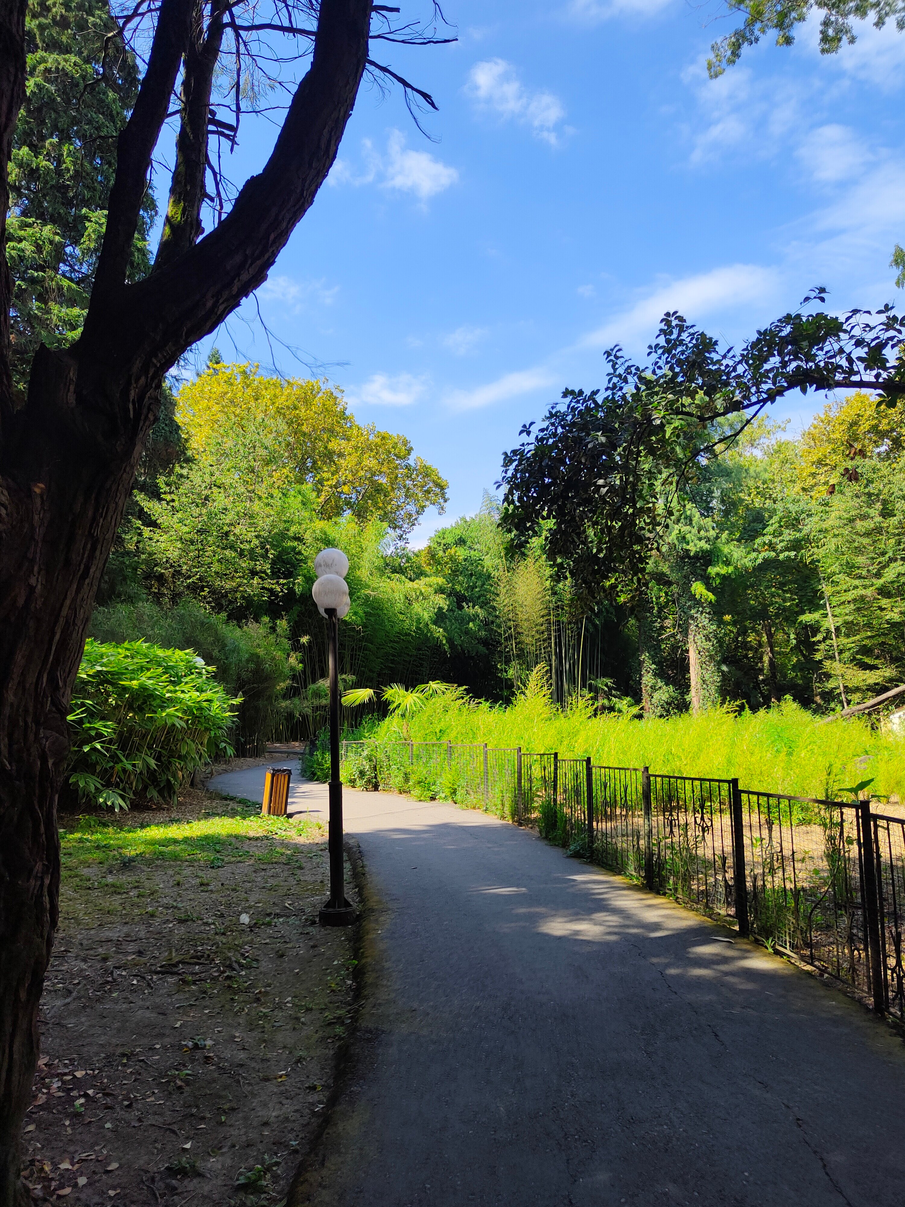 Фото Регалия