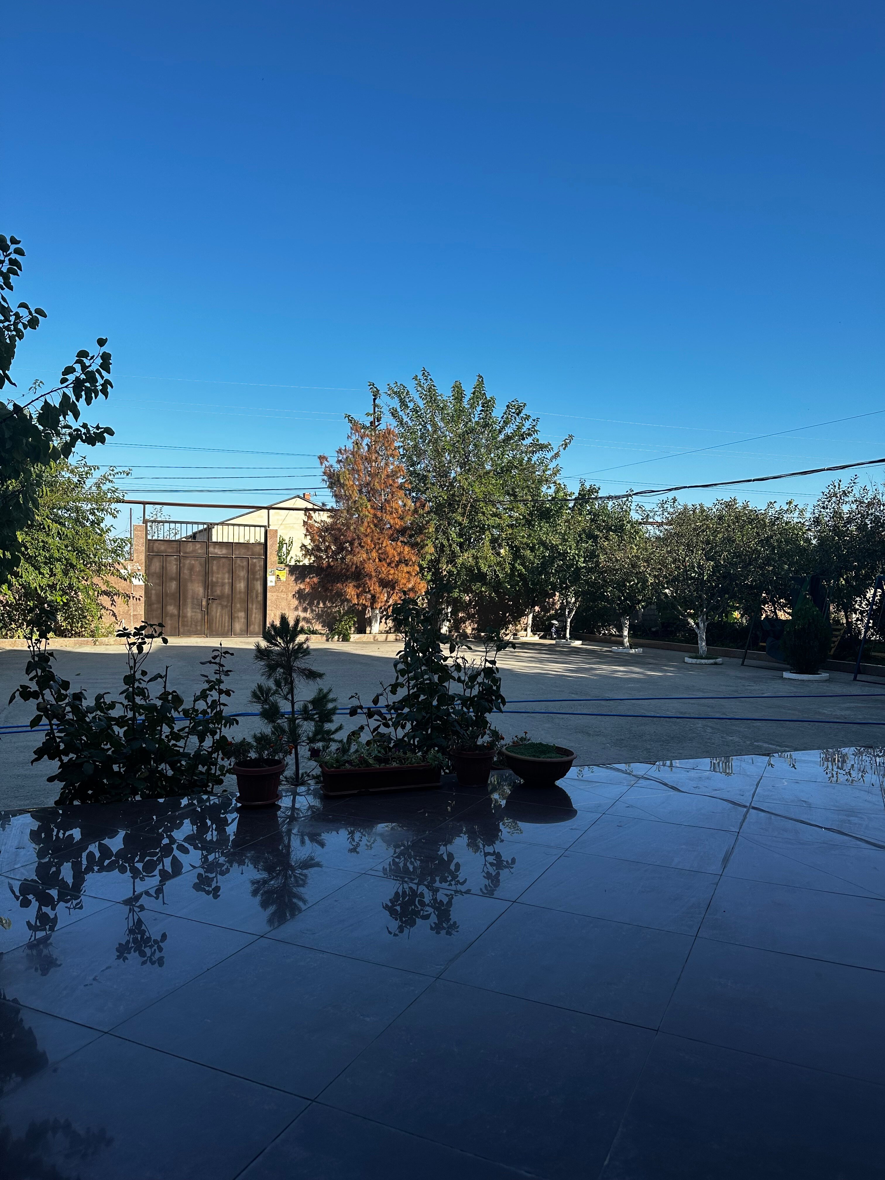 Фото Золотые пески