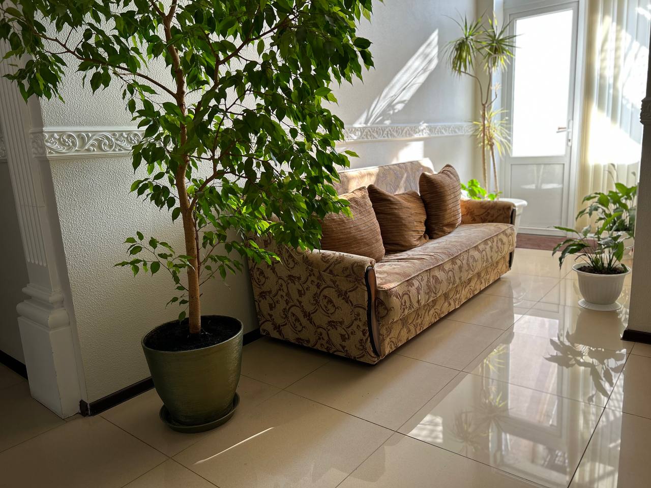 Фото Империал