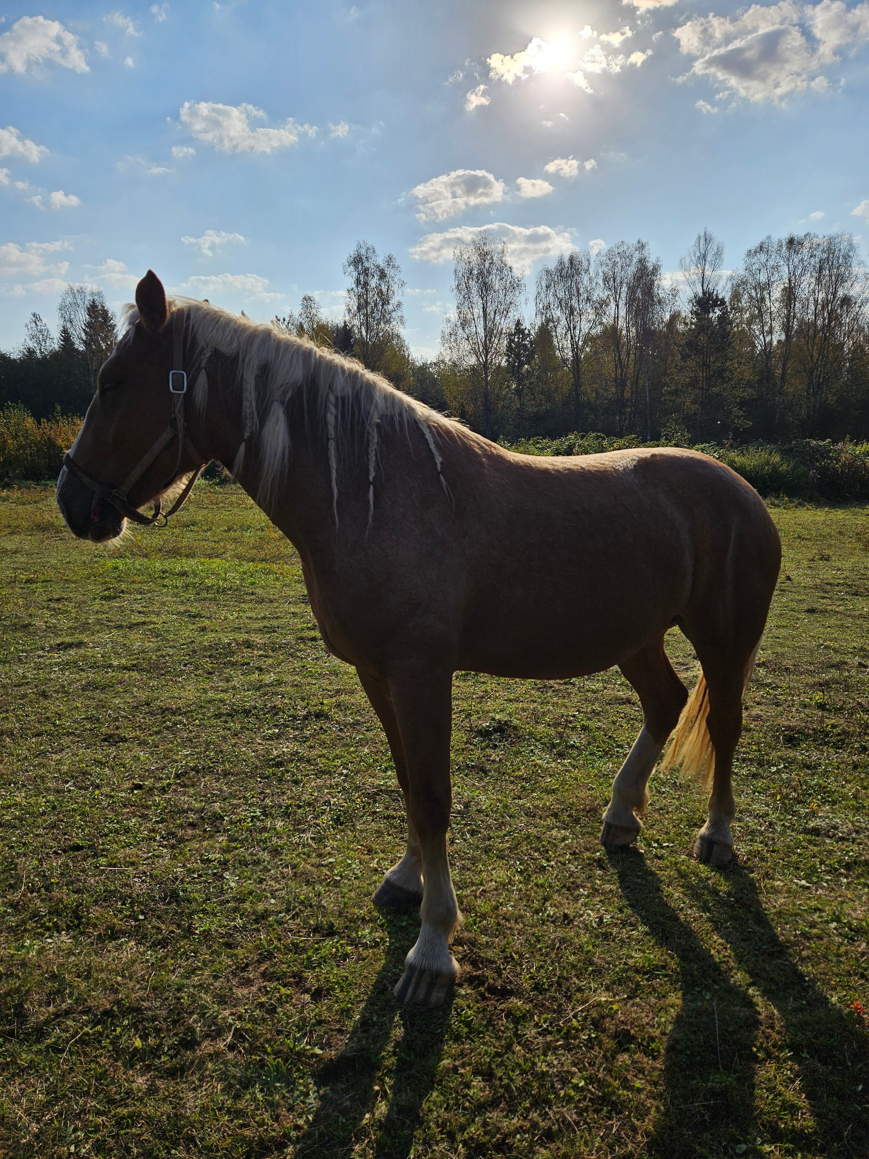 Фото Верхнее Никольское