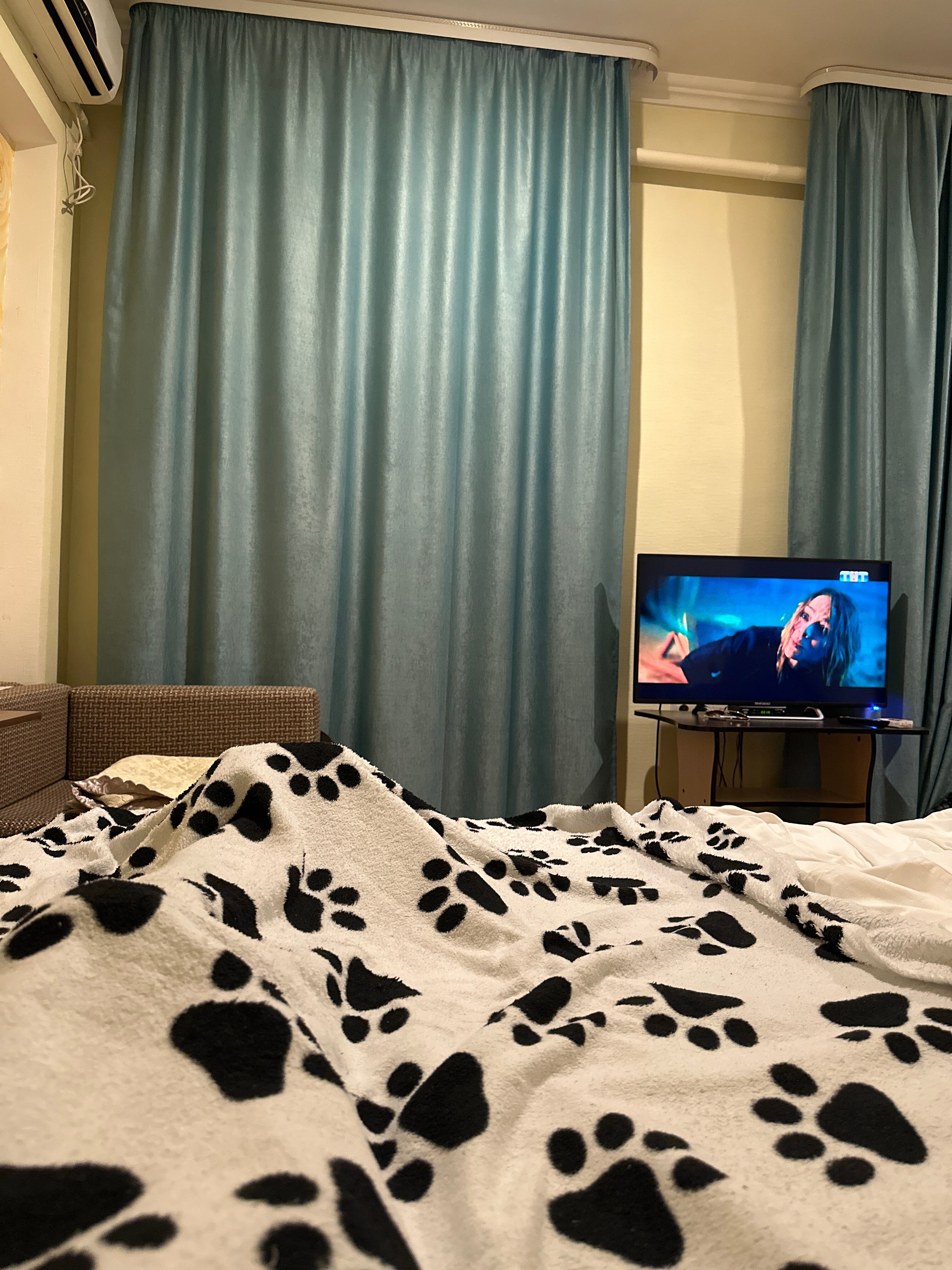 Фото Золотой огонек