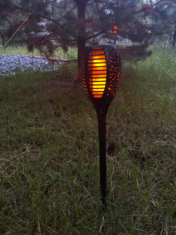 Фото Хвойная Хижина