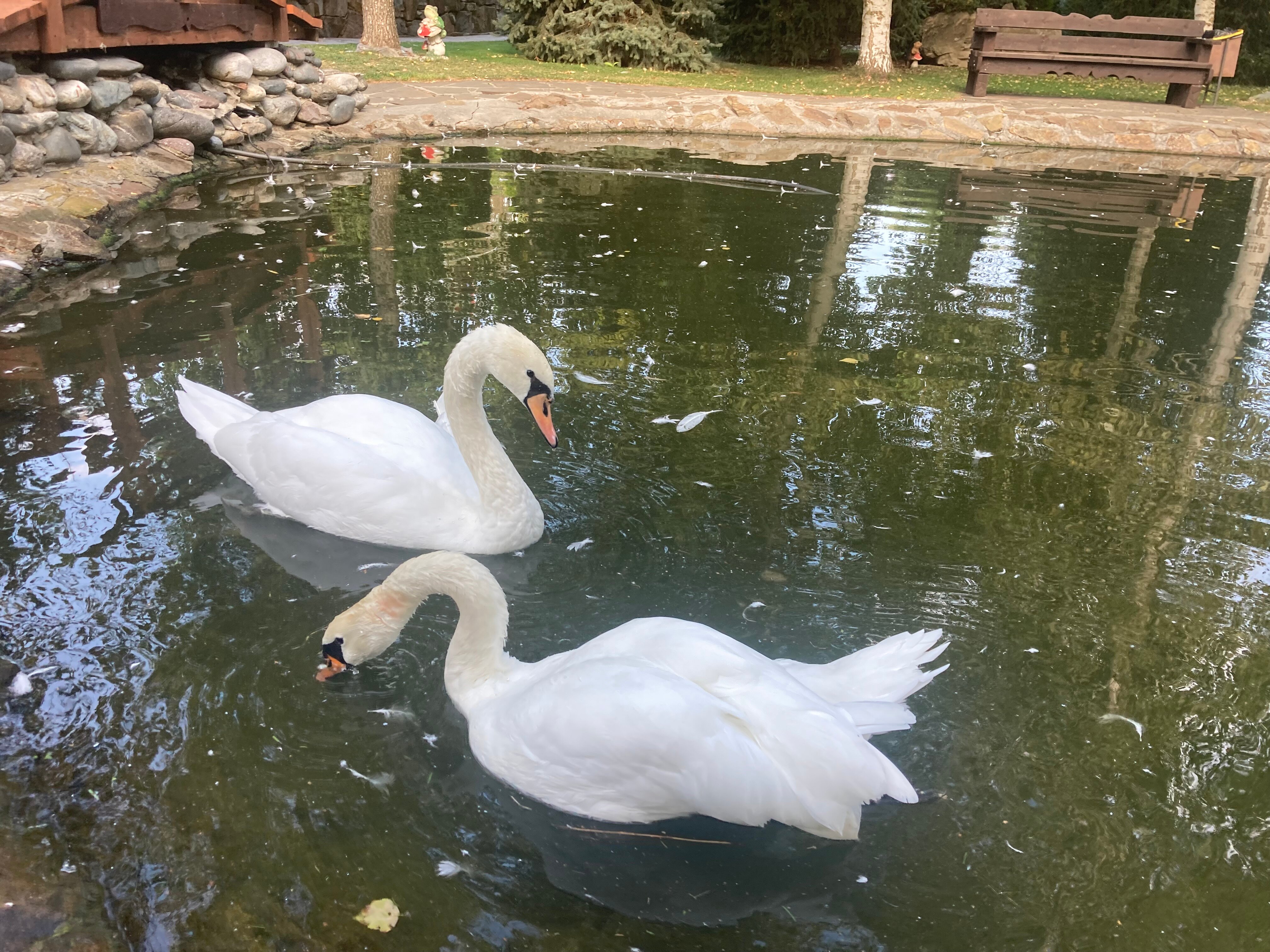 Фото Казачья пристань