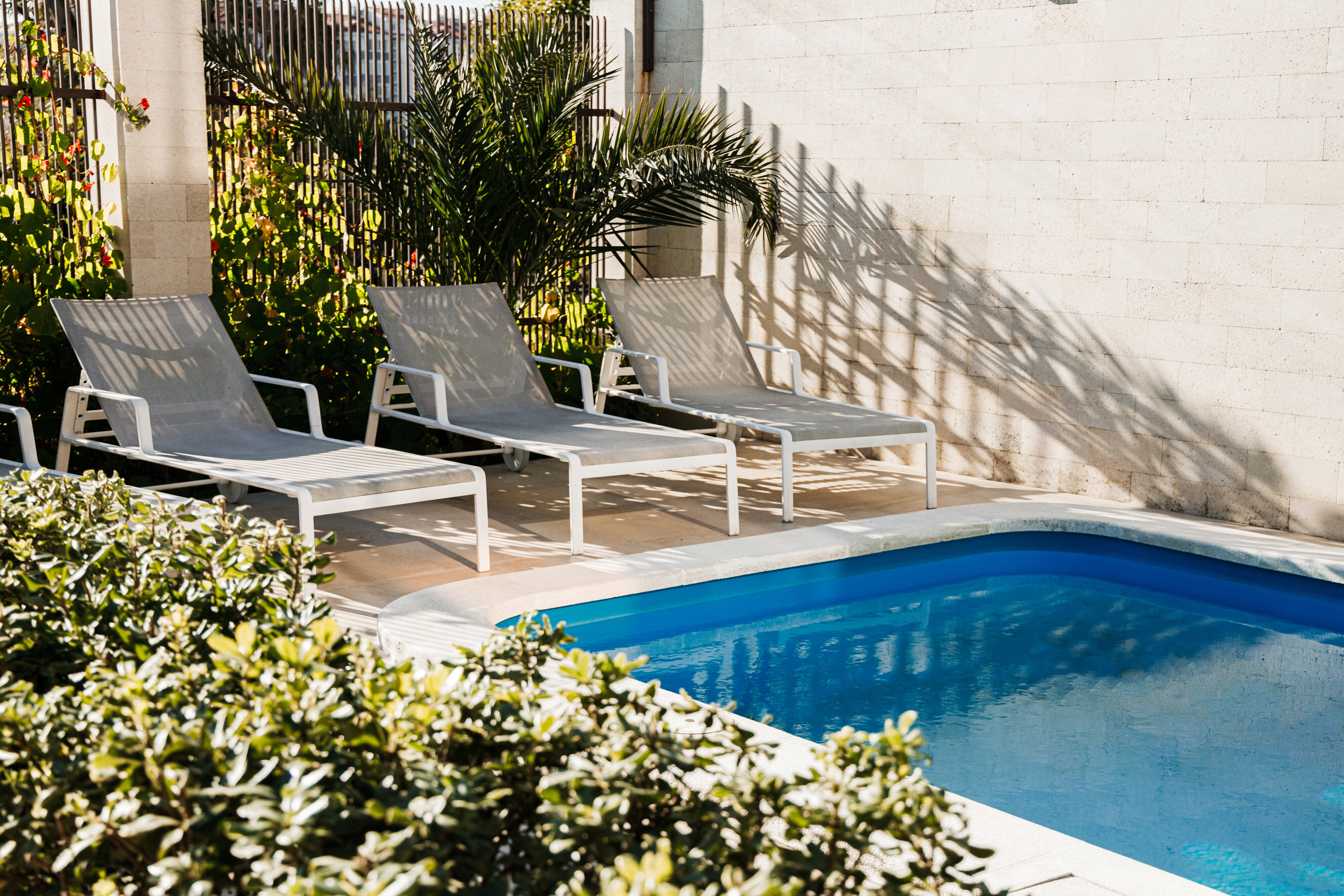 Фото Сафино Сириус