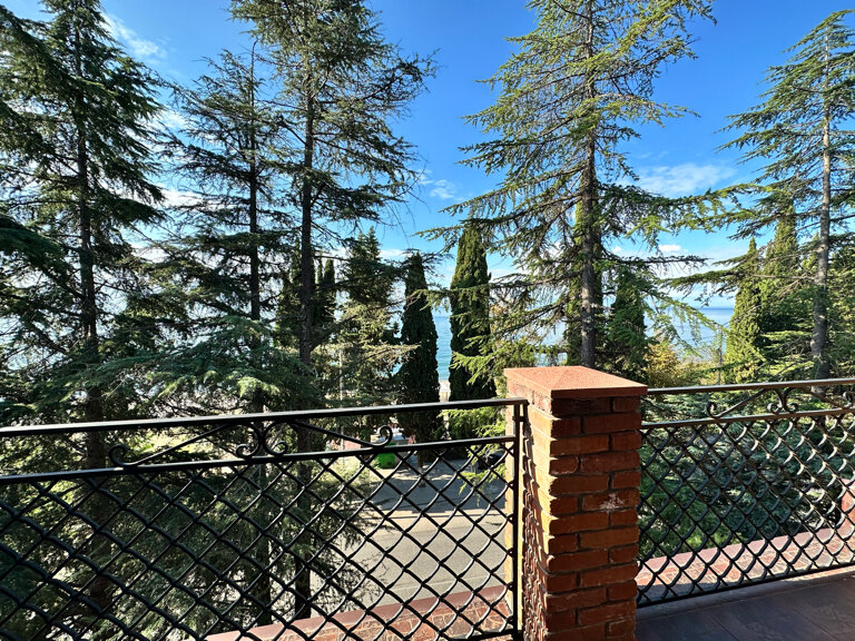 Фото Курортный отель Афон