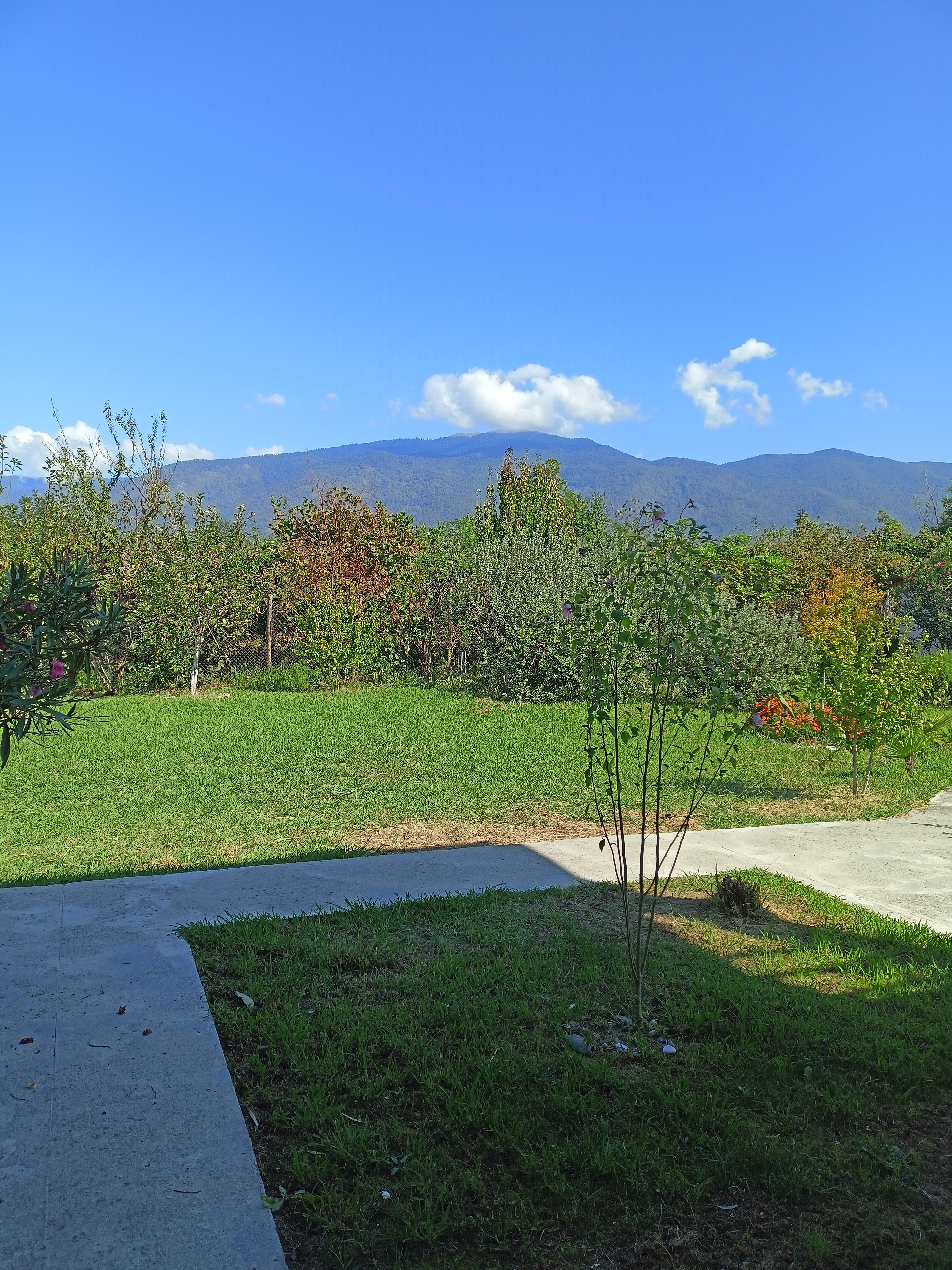 Фото Guest House on Sayat-Nova