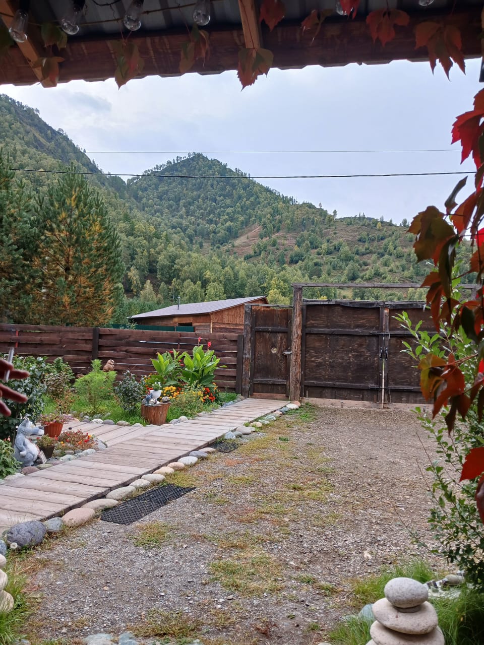 Фото Бумеранг