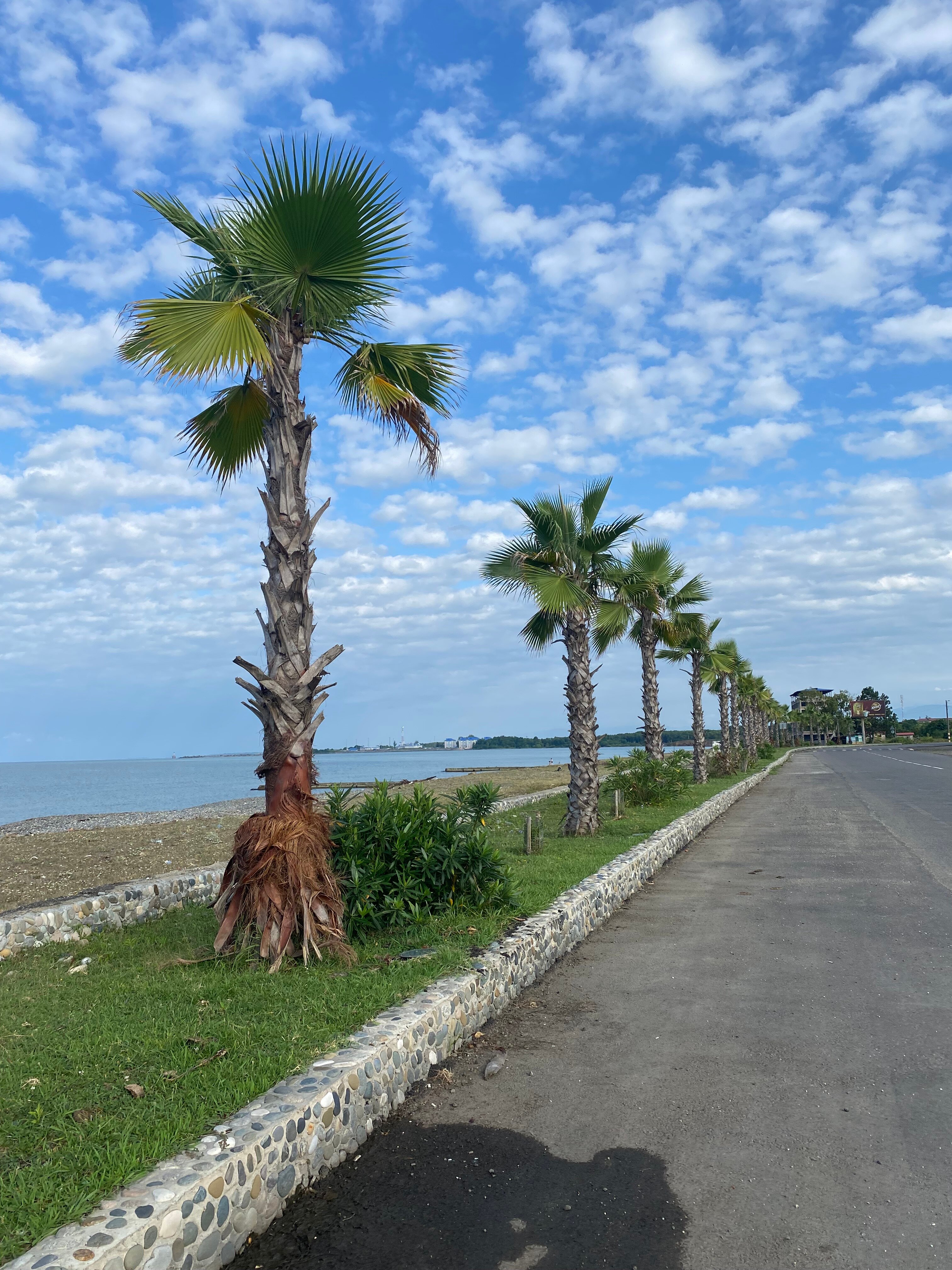 Фото Черноморская жемчужина