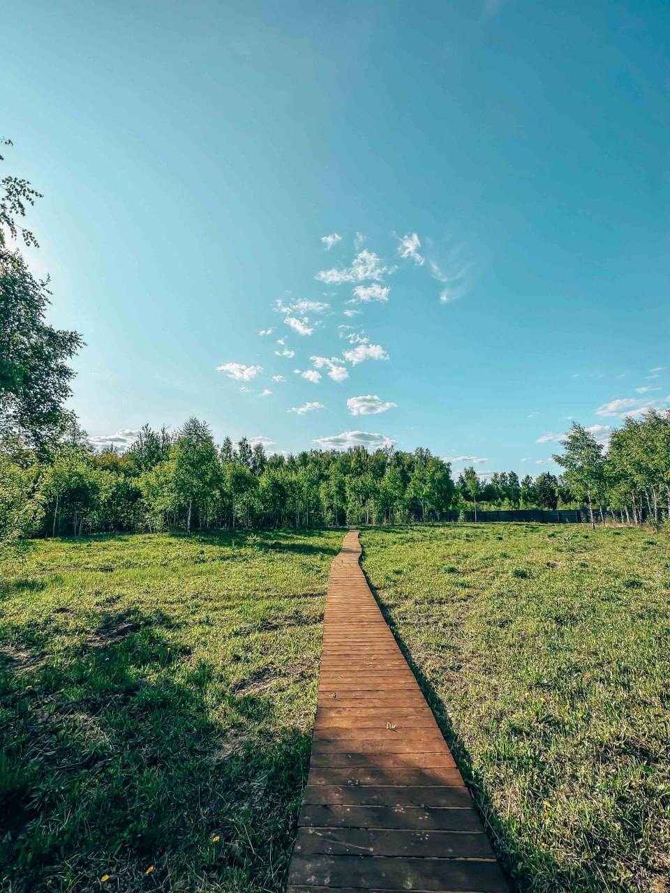 Фото В Поле