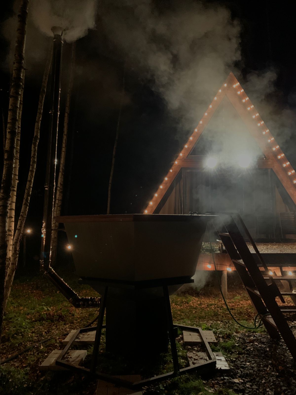 Фото Эко Дуб