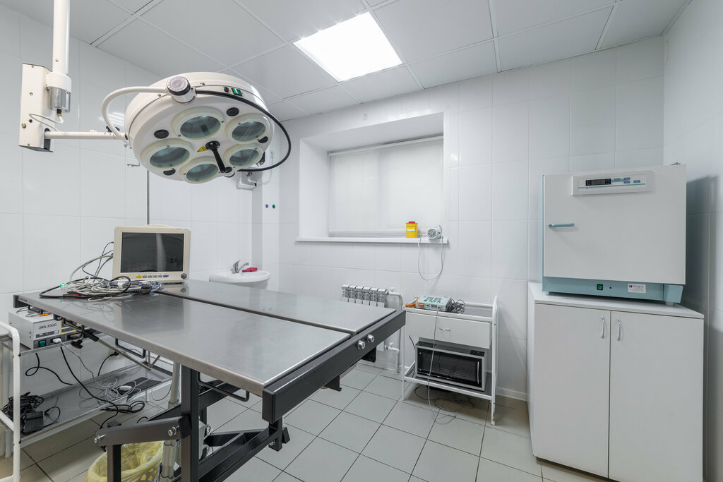 Veterinary clinic Cheshirskiy Kot, Ryazan, photo
