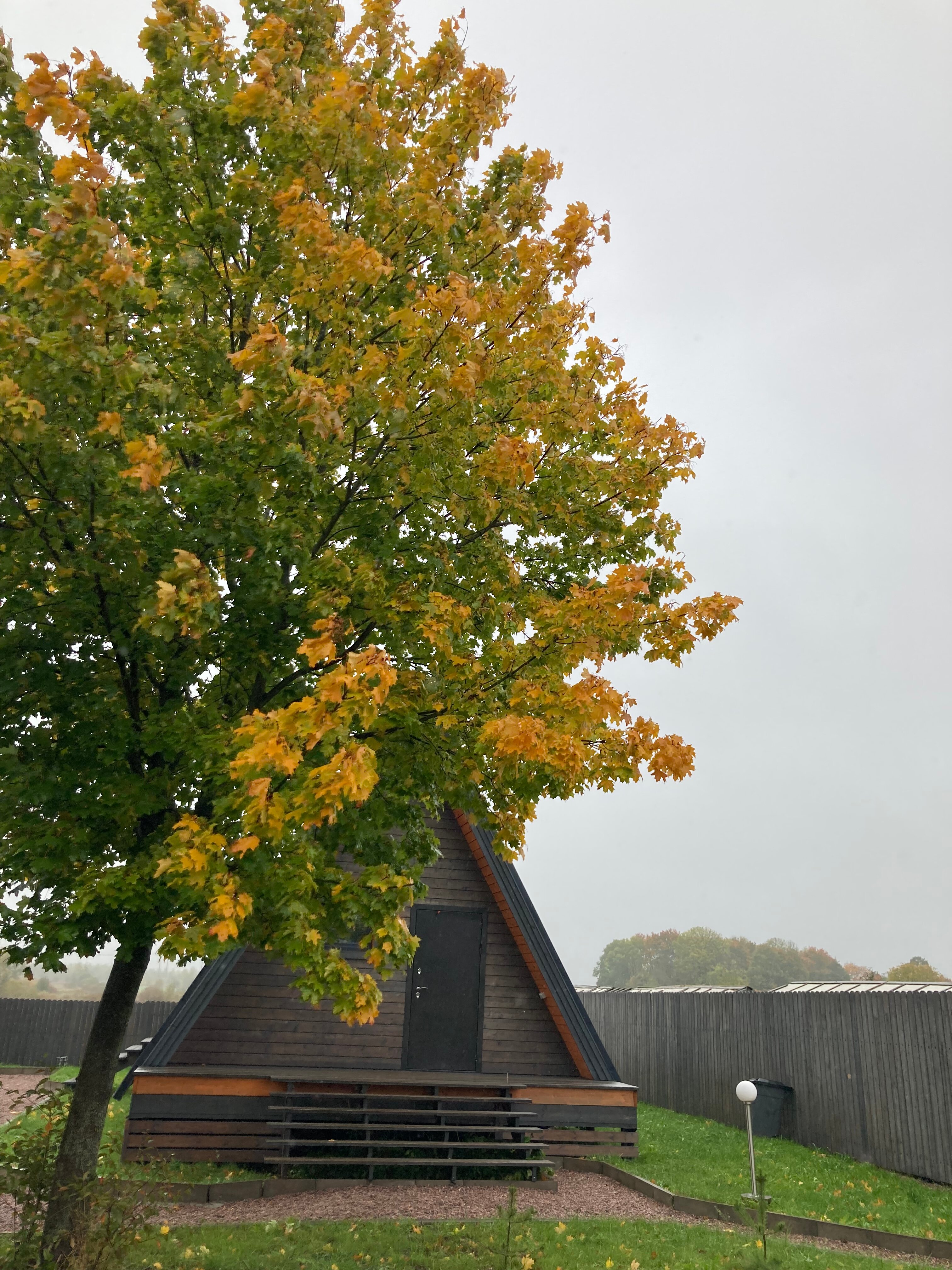 Фото Лиса в шалаше