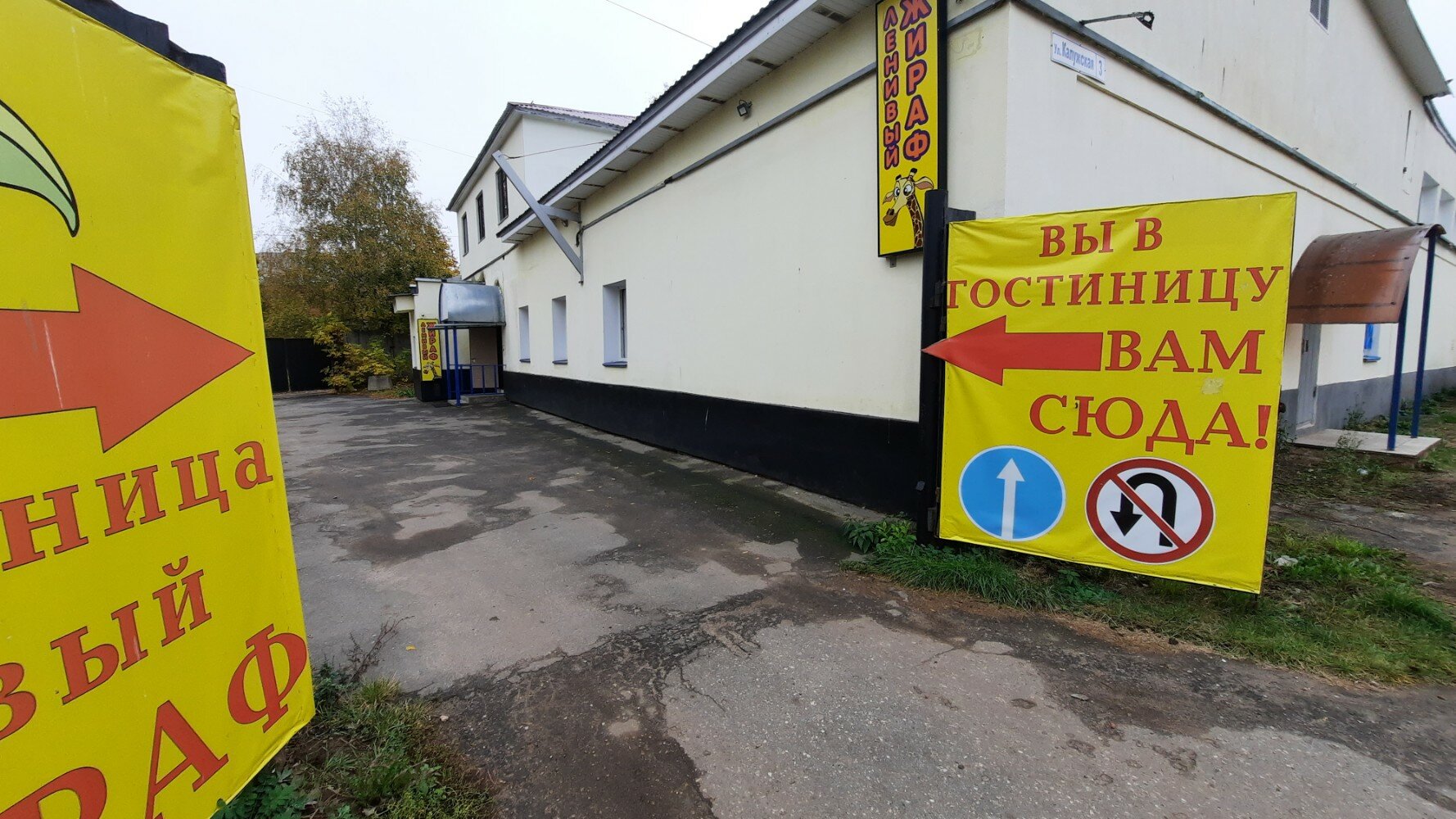 Фото Ленивый жираф