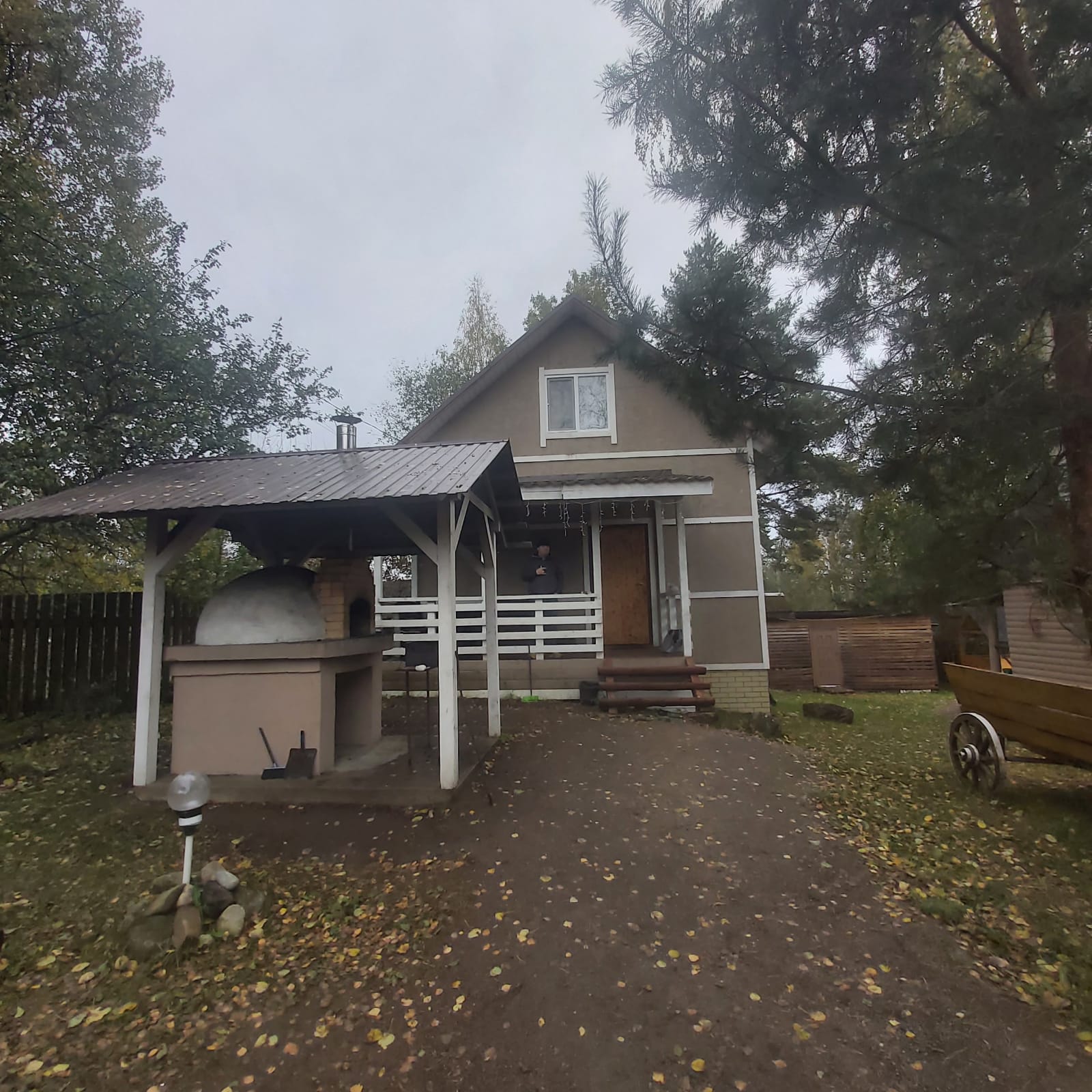 Фото Беличье