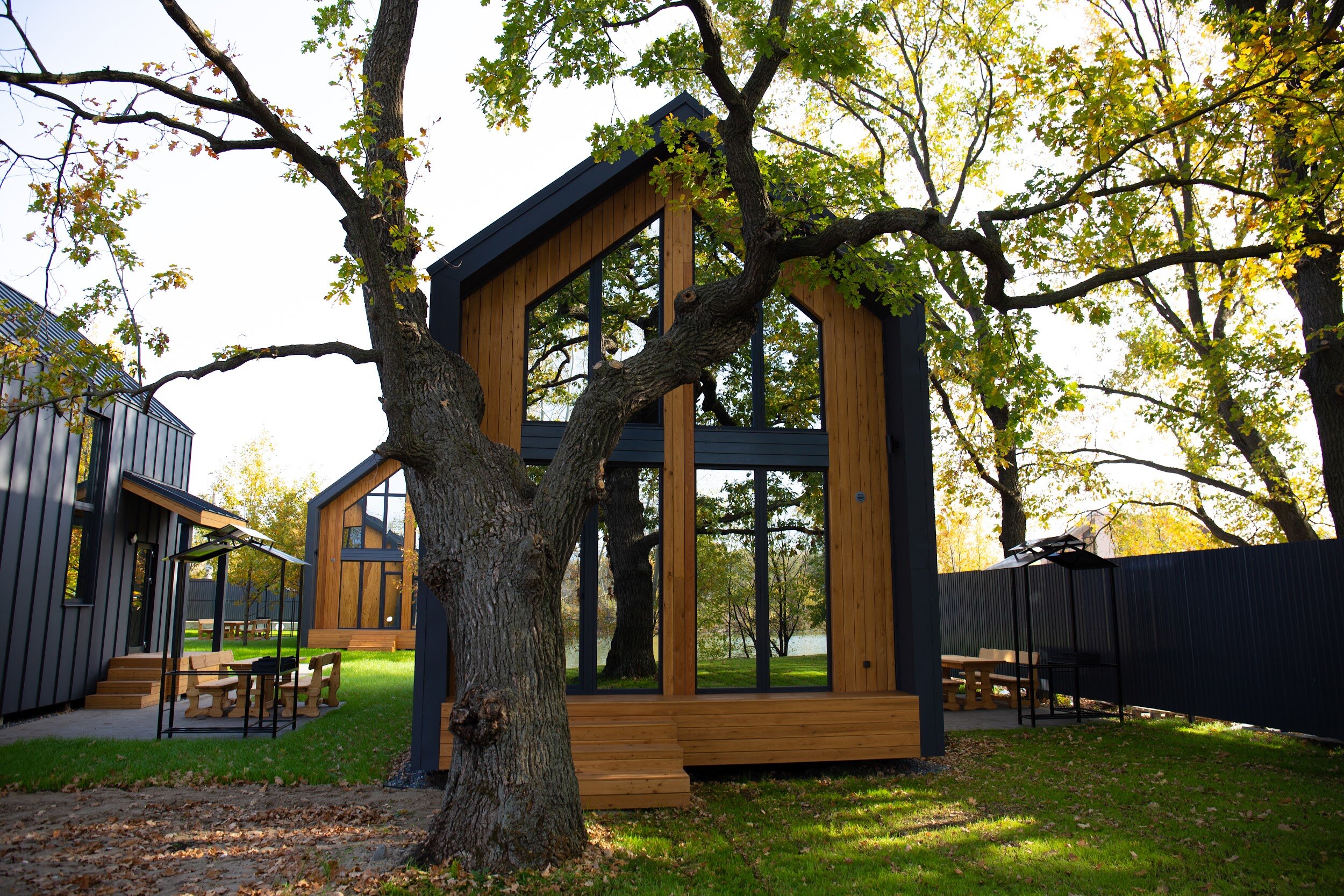 Фото Природа