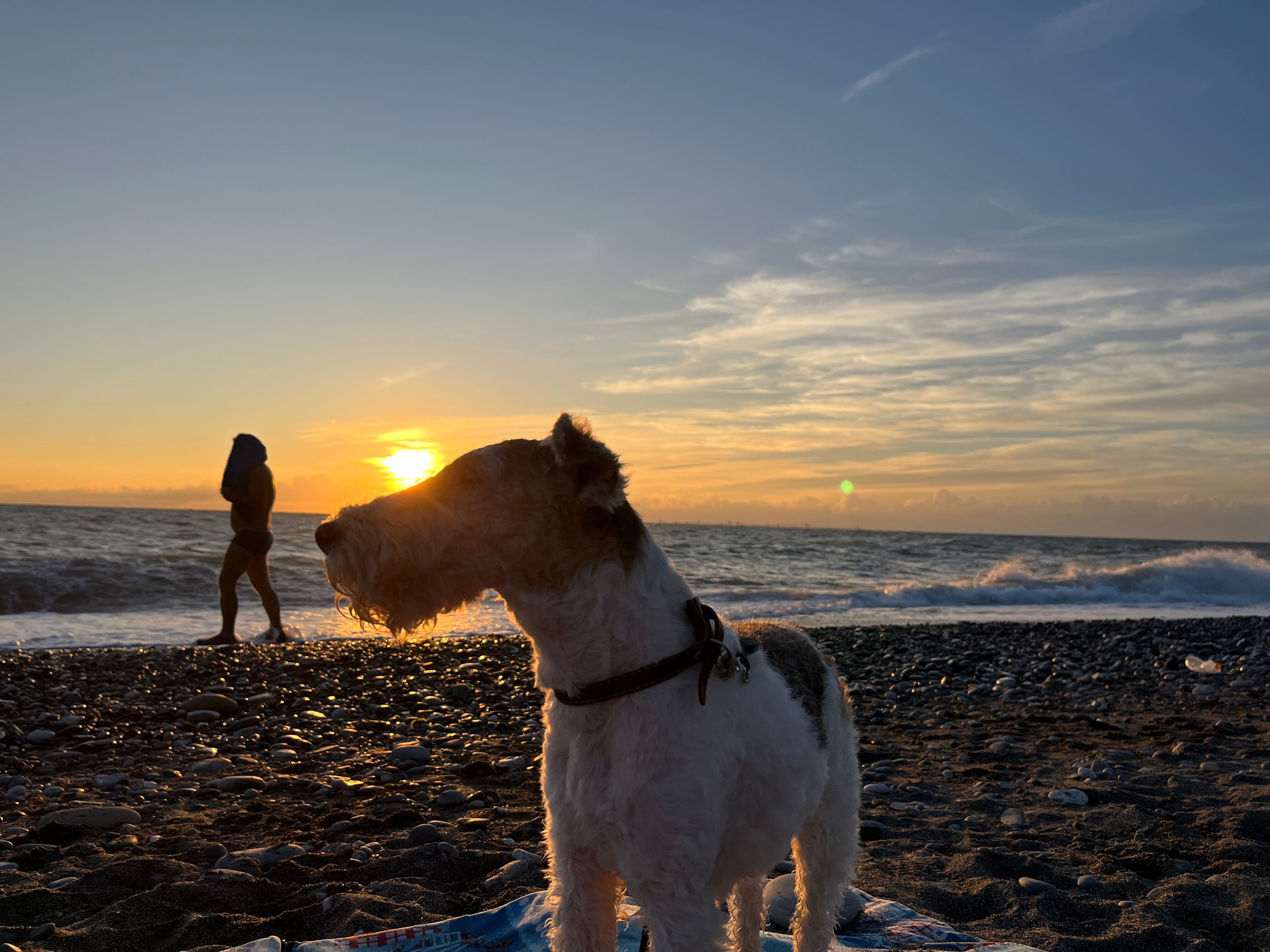 Фото Роза Ветров